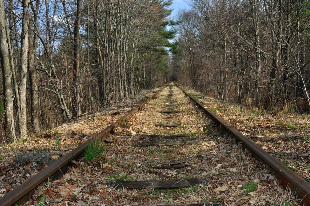 justtracks.jpg