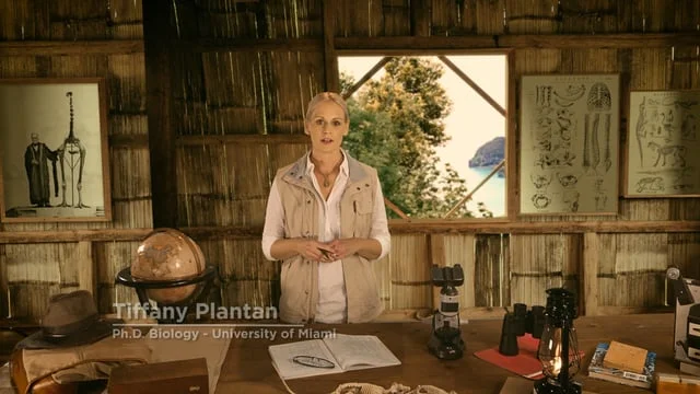 Kong Skull Island_A_ENG