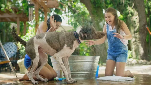 Discovery_Family_ID_BUMPER