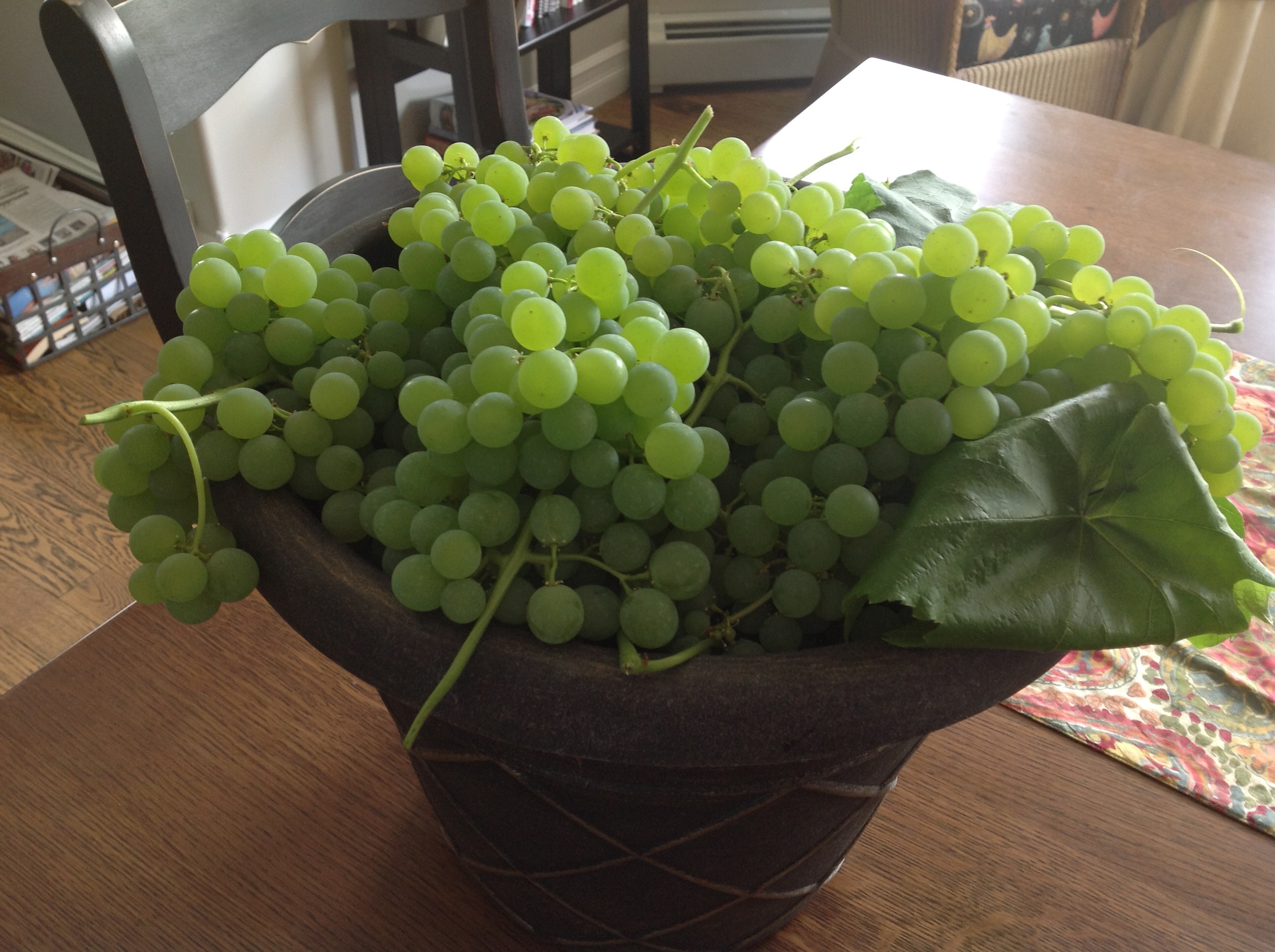 grapes3.JPG