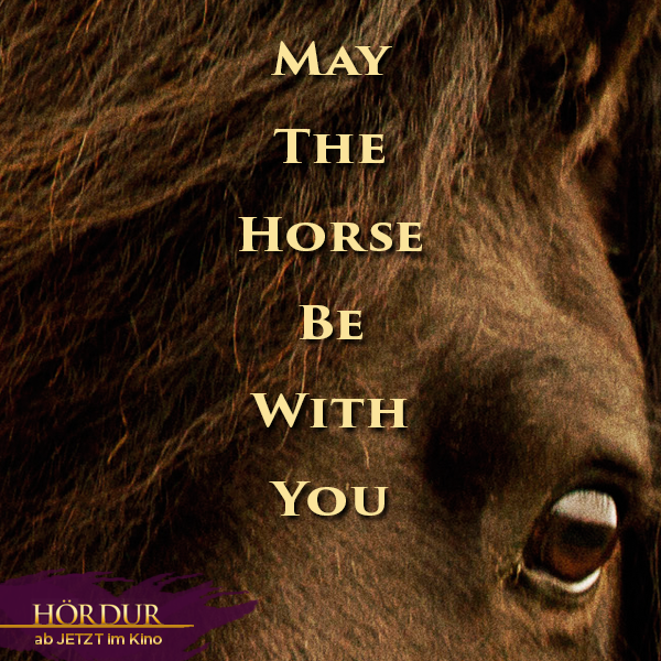 May-the-horse-be-with-you.png