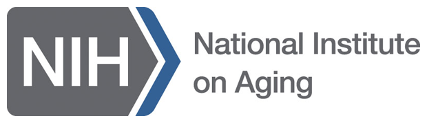 New NIA grant funded to study dopamine and decision making