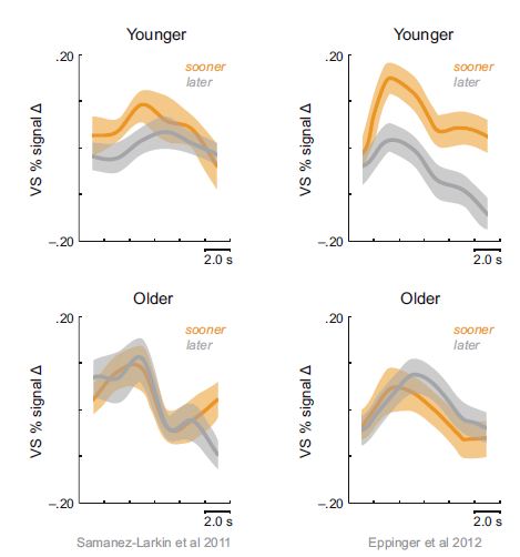 Figure 1. In two recent studies, young adults show reduced activation of the ventral striatum (VS) for delayed rewards (grey) compared to rewards available now (orange), whereas this oversensitivity to immediacy was not present in older adults. Older adults showed equivalent activation of the VS for rewards available at short and long delays. Figures adapted from Samanez-Larkin et al. (2011) and Eppinger et al. (2012).