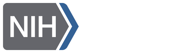 New NIA Grant Funded to Support Research Into the Effects of Aging on Episodic Memory-Dependent Decision Making