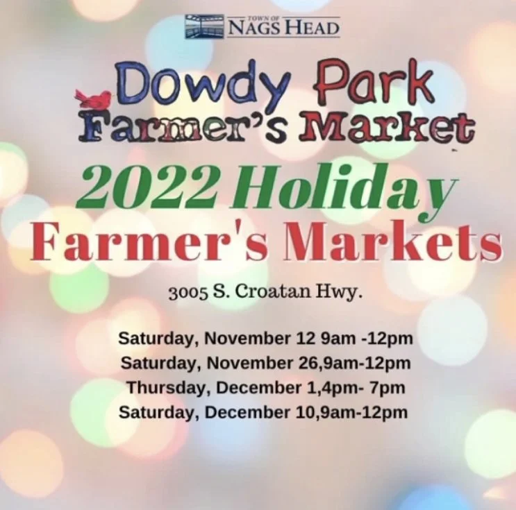 Dowdy Park Holiday Market