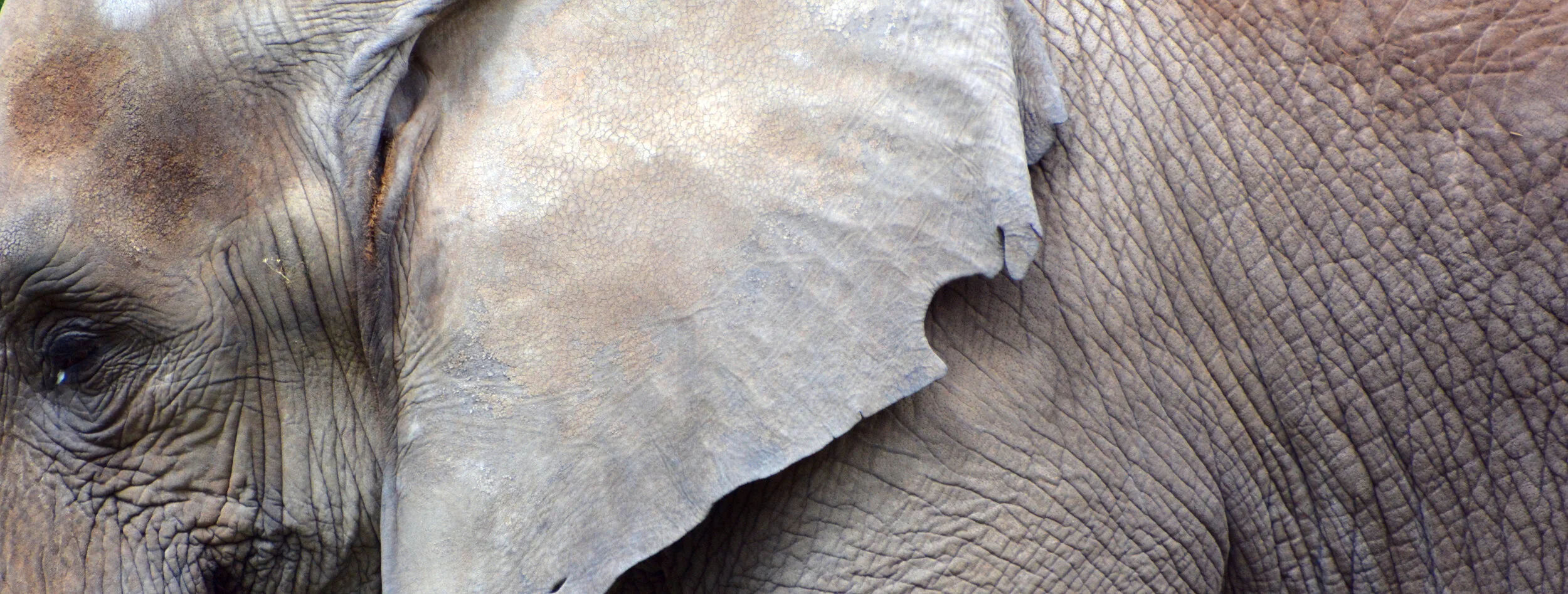 What’s Going On In Washington and Why Does It Matter?