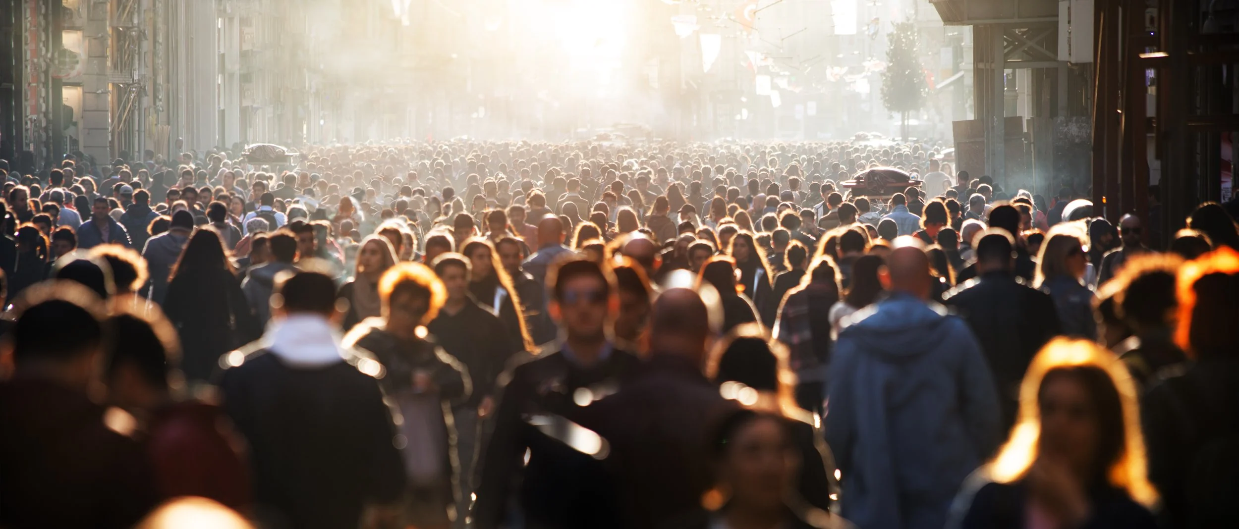 Investment Dichotomy: The Wisdom of Crowds vs. Popular Delusions