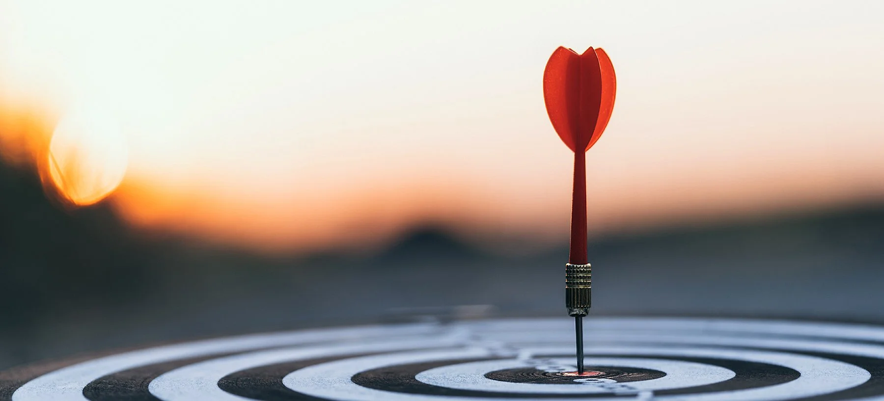 Strategic Wealth Management - Part 3: Optimizing Your Organized Investments