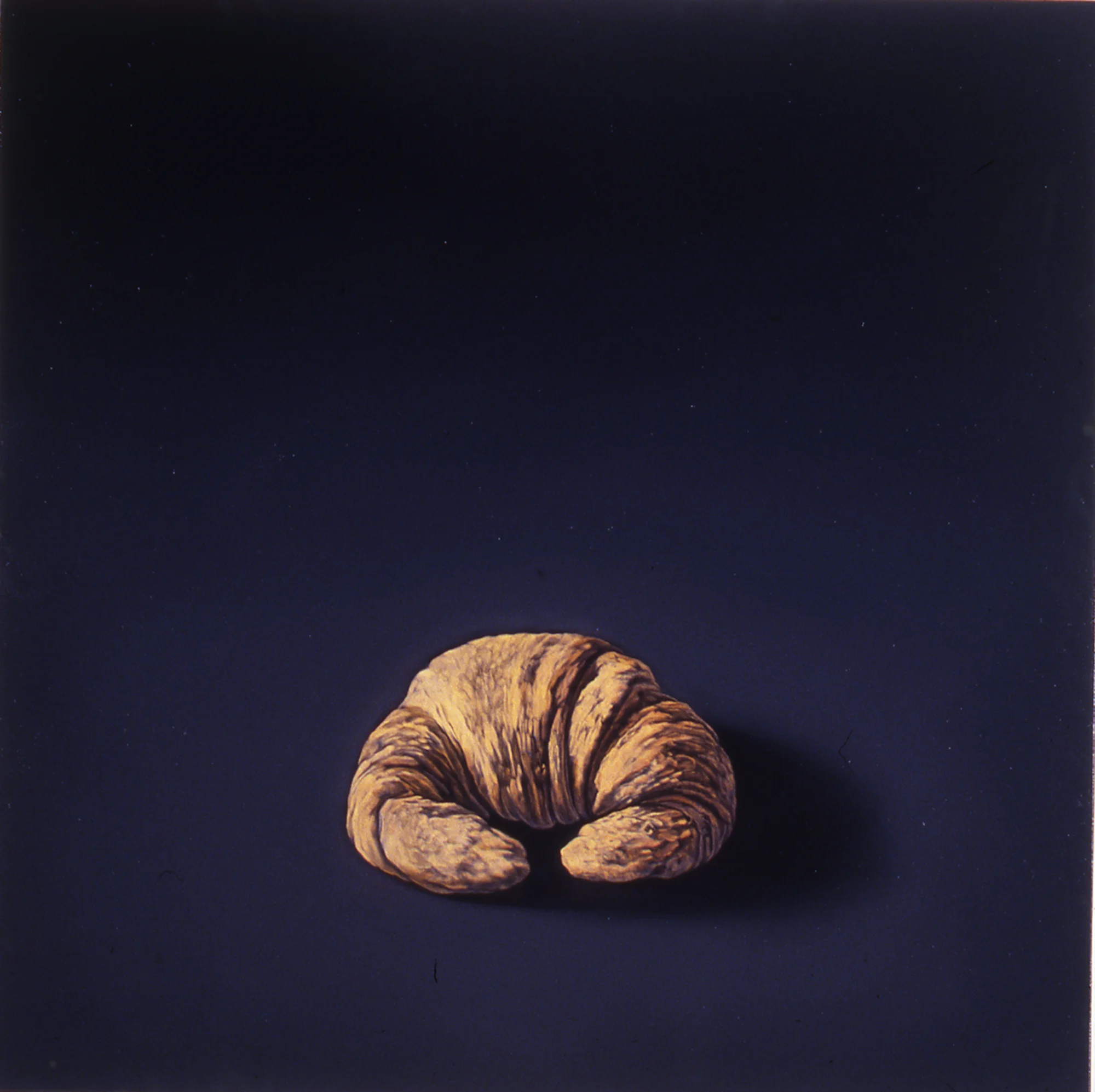 Croissant, 16"x16", 1997, Oil on Masonite, Price on Request