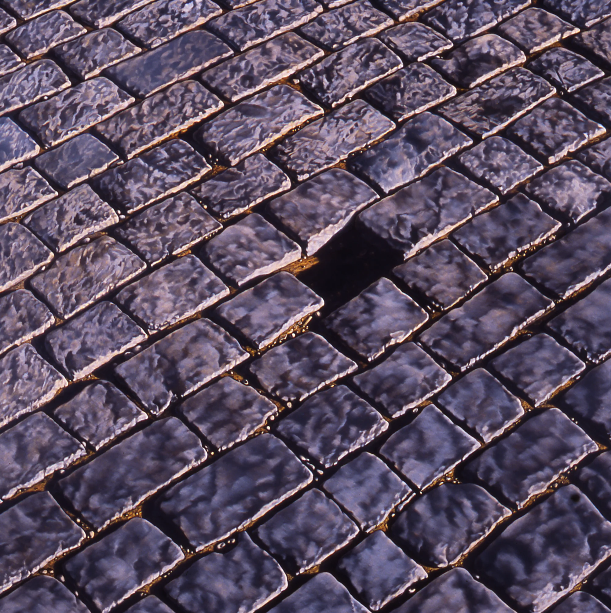  Charles Bridge, 36"x36", 2005,&nbsp;Oil on Masonite, Collection: Robert and Vickie Zoellner, NJ 