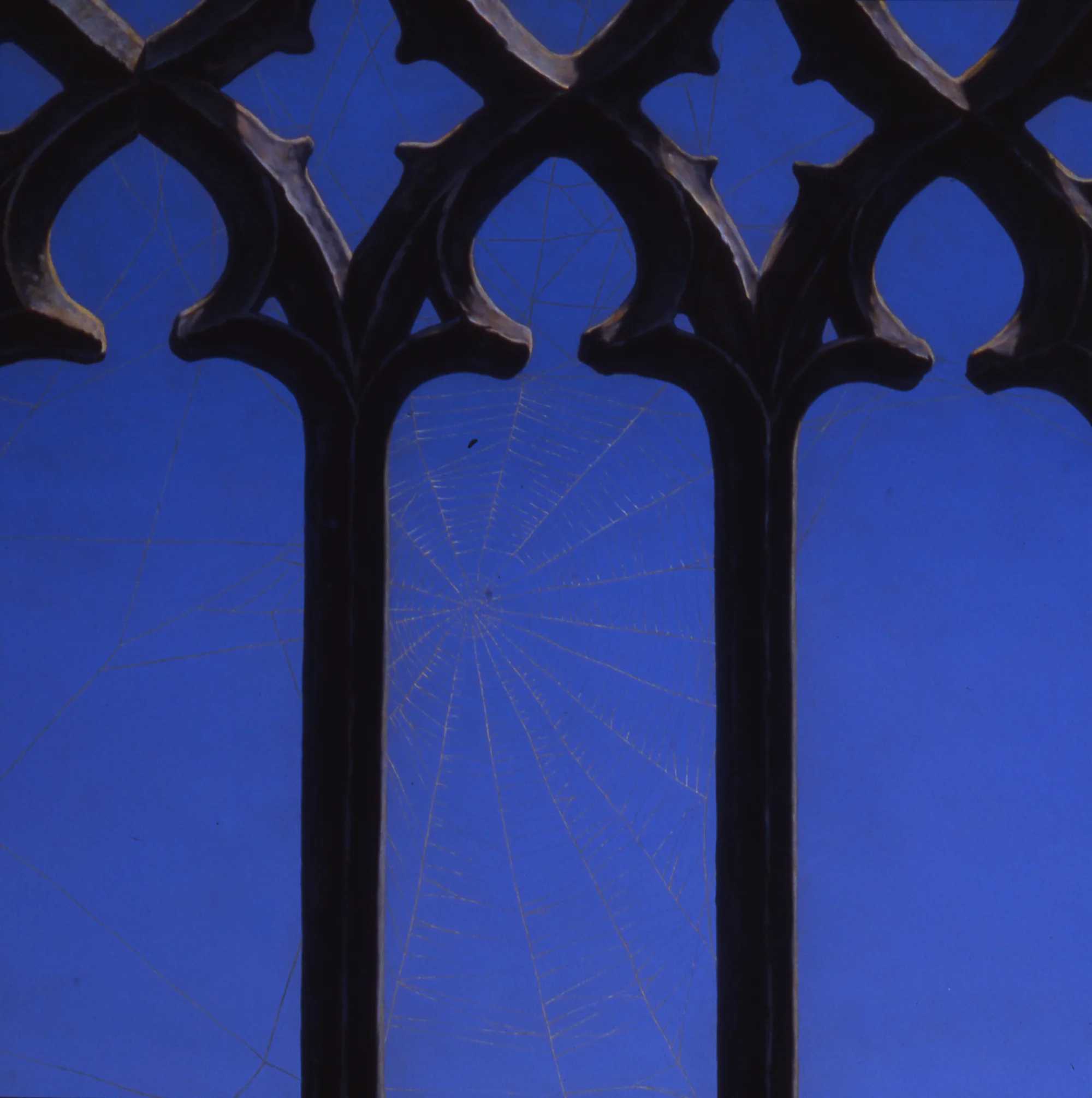  Spider Web, 16"x16",&nbsp;2006, Oil on Masonite, Private Collection 