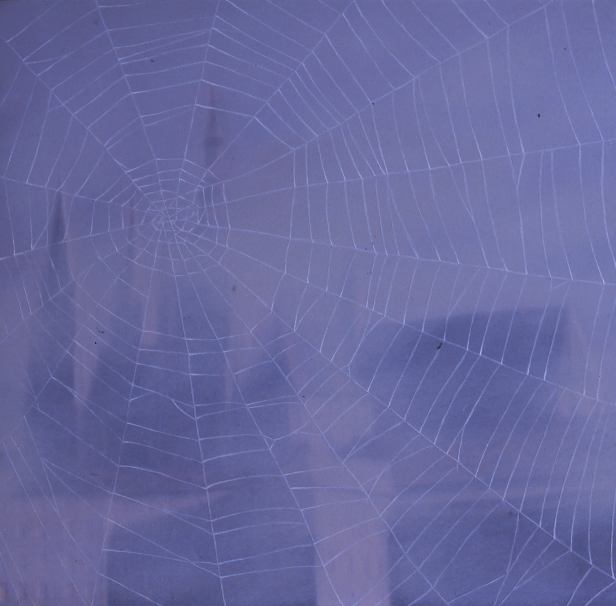  Prasky Hrao I, 8"x8", 2005,&nbsp;Oil on Masonite, Price on Request 