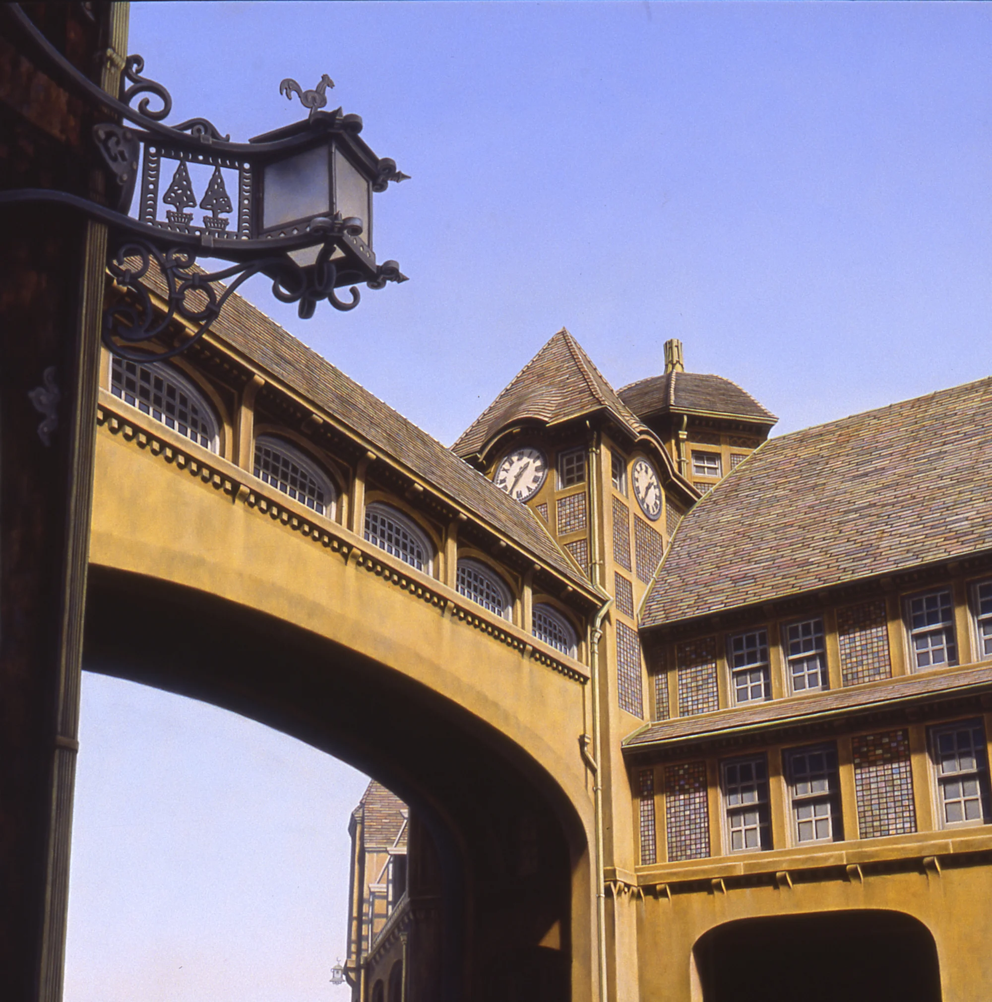  Rooster, 24"x24", 2015, Oil on Panel, Price on Request 