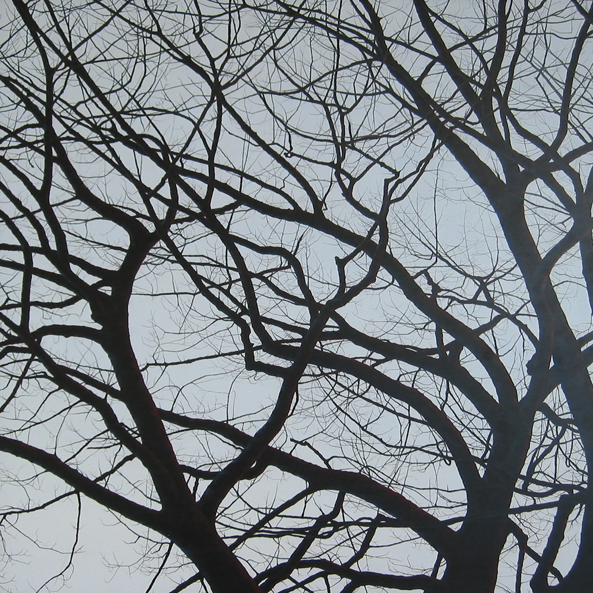  Central Park, 48"x48", 2006, Oil on Panel, Price on Request 