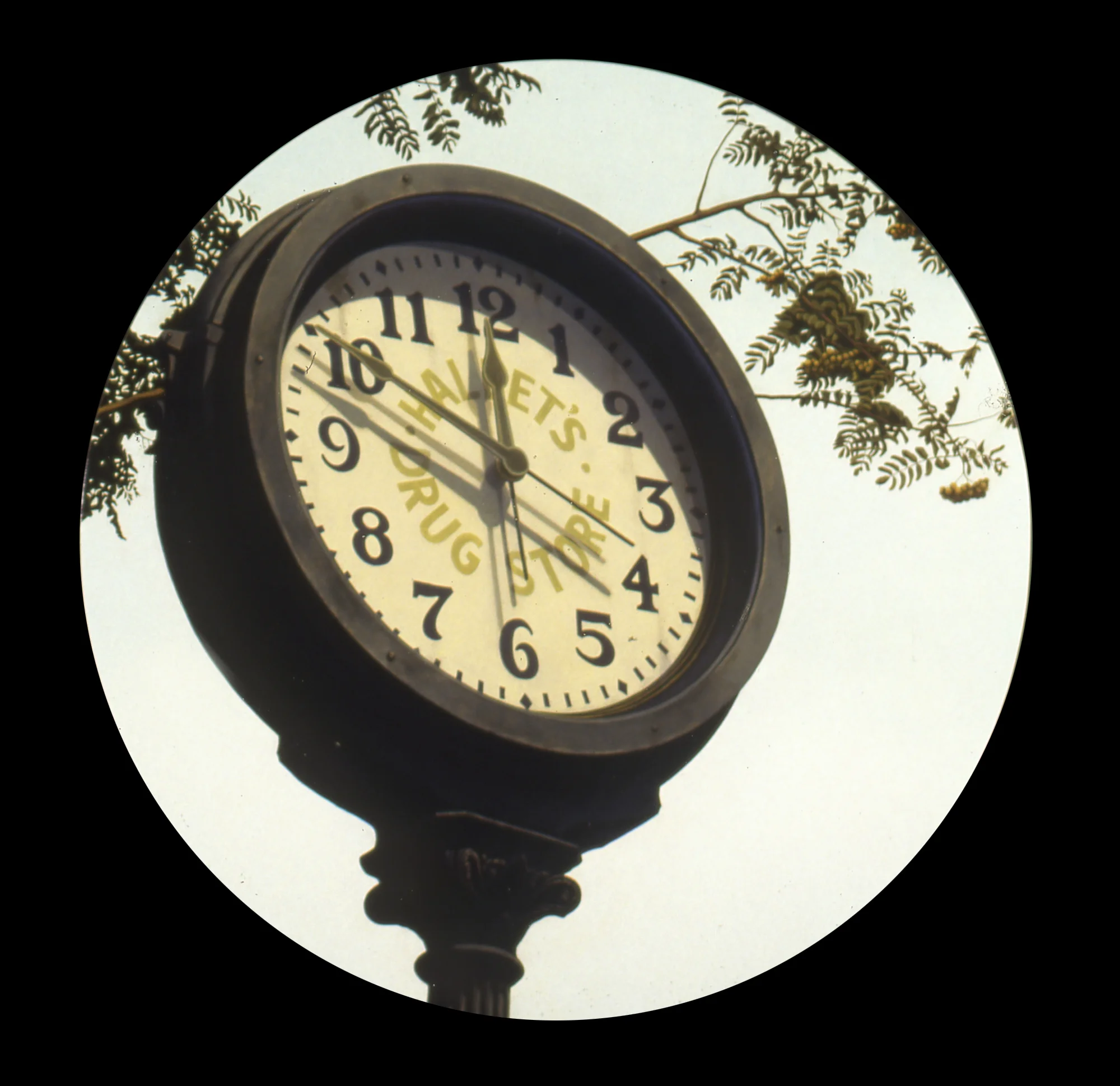 Mum-Mum, 47" Diameter, Oil on Masonite, Collection: Richard and Judith Wilde, New York