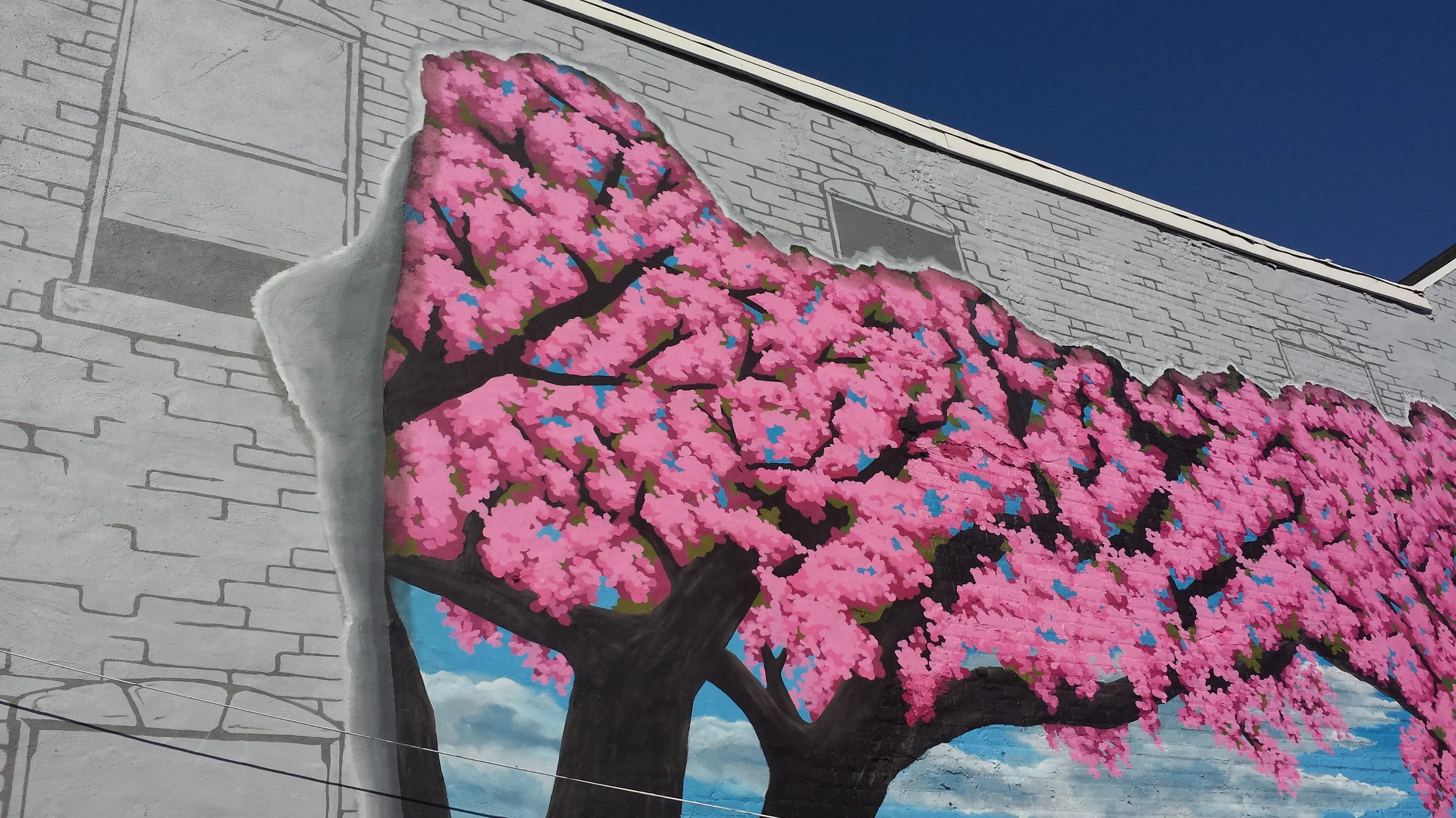 20150716_170259.jpg