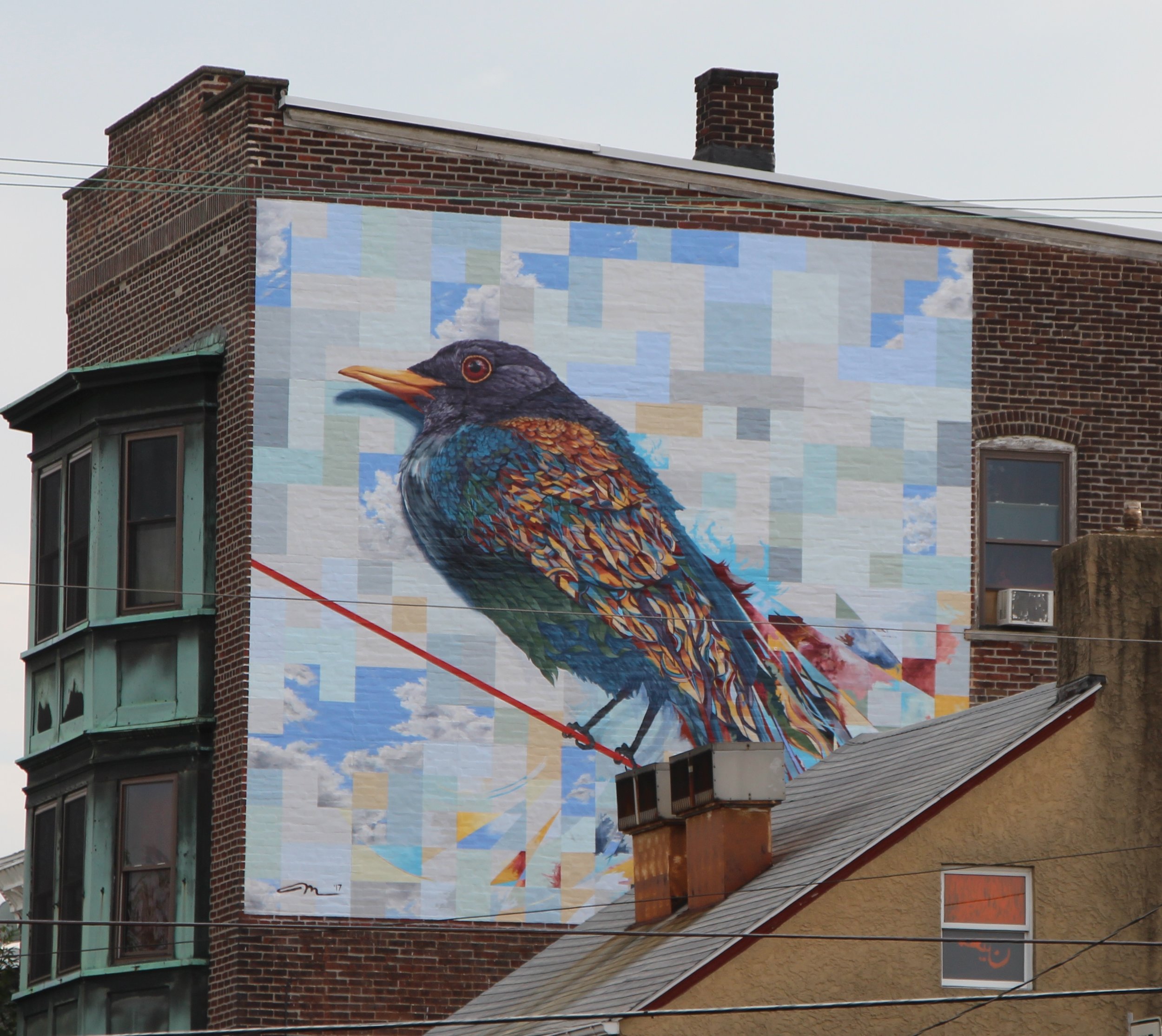 Bird on a Wire (street view)- by Matt Halm.jpg