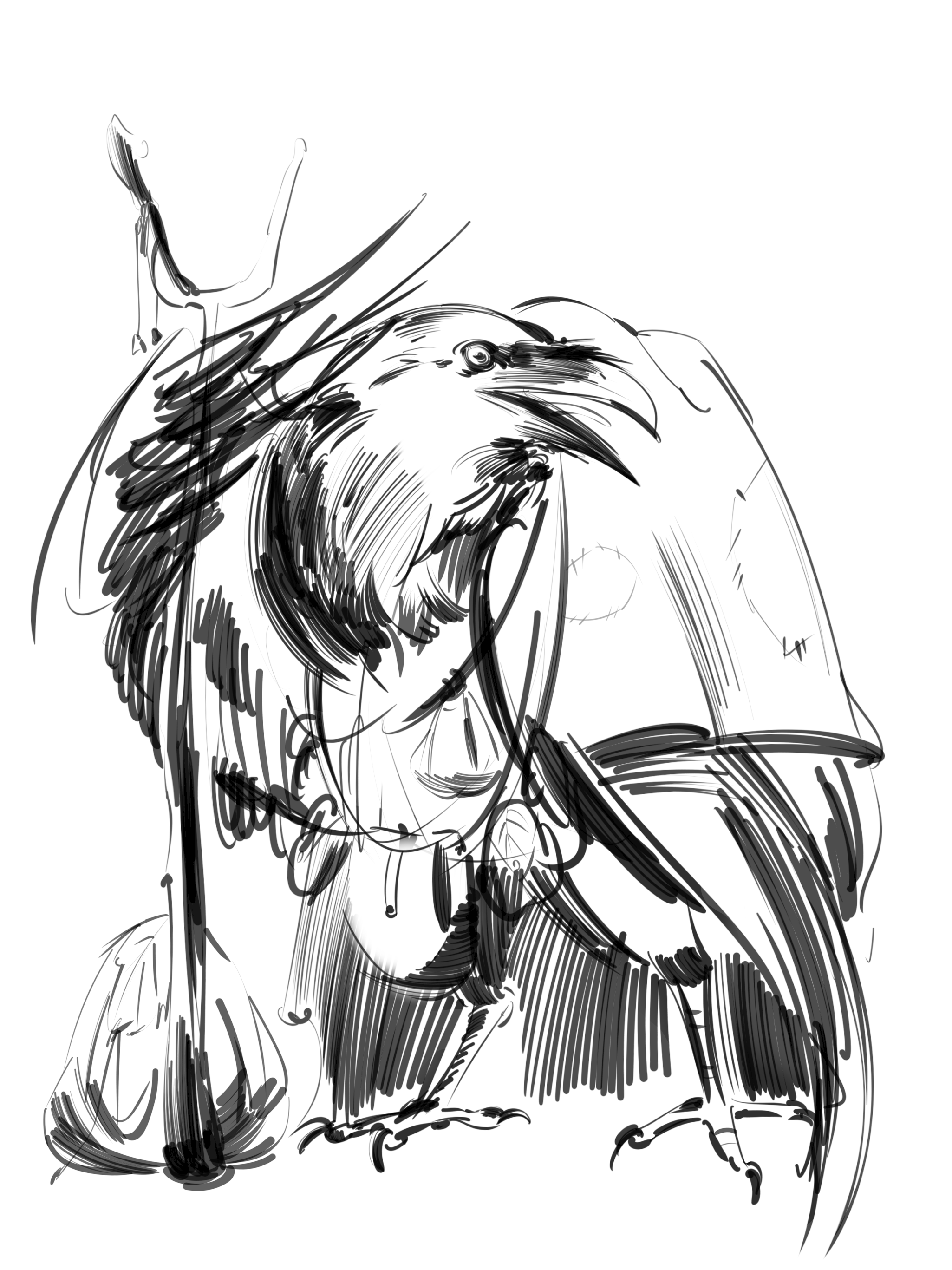 4. Raven traveler.png