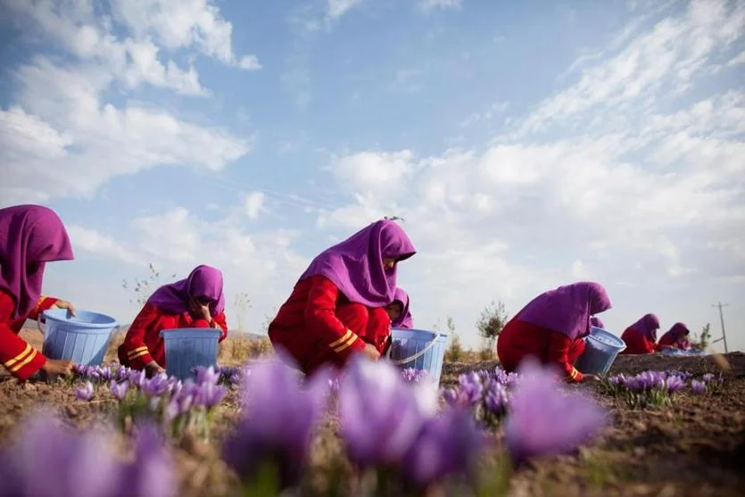 FILE 2010/MAJID SAEEDI/GETTY IMAGES