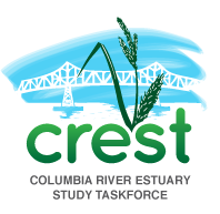 crest-logo.png