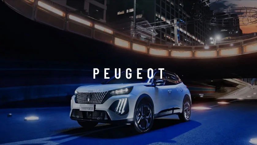 Peugeot | Pinball