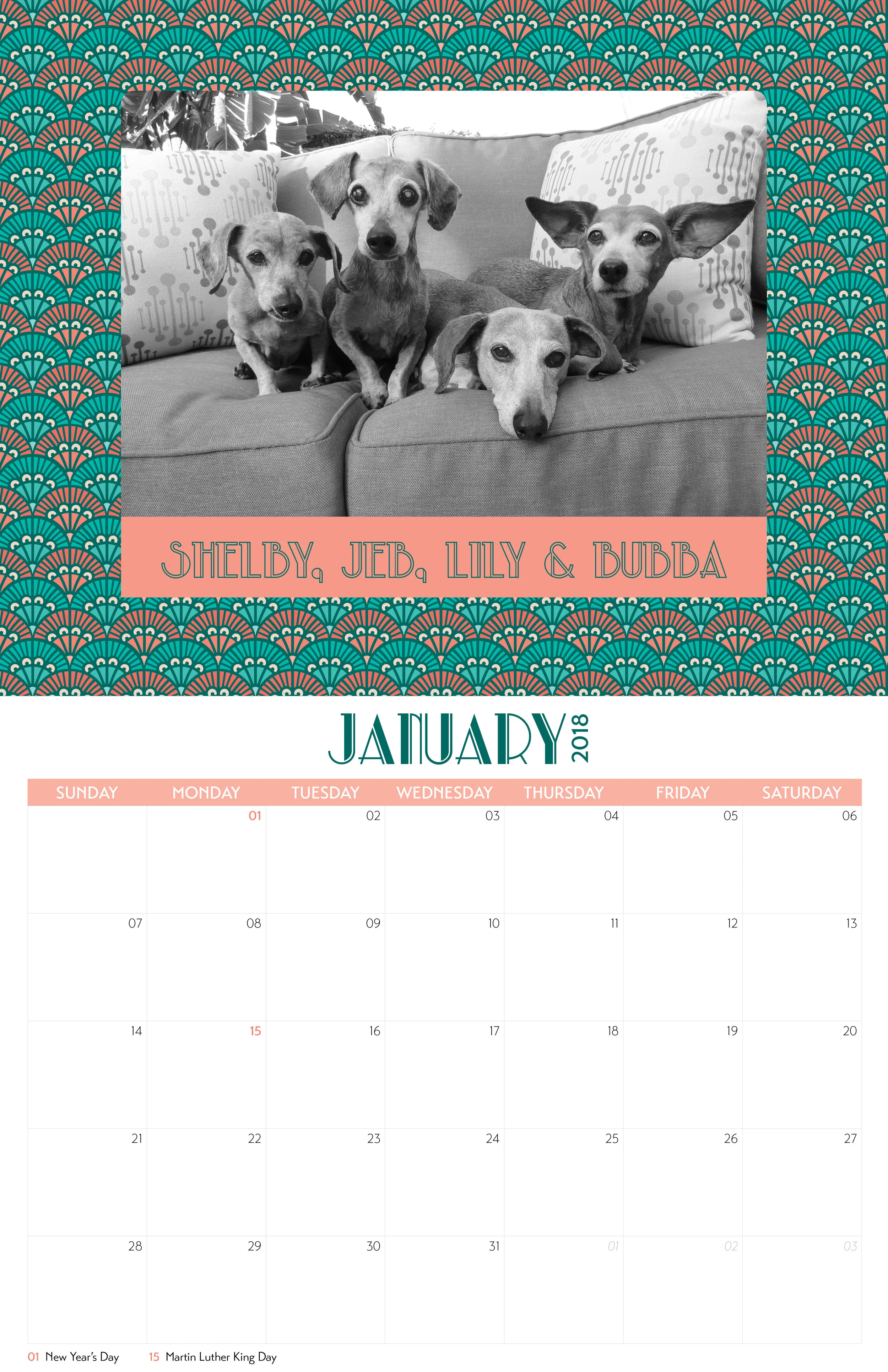 DRSF-2018Calendar-FINAL2.jpg