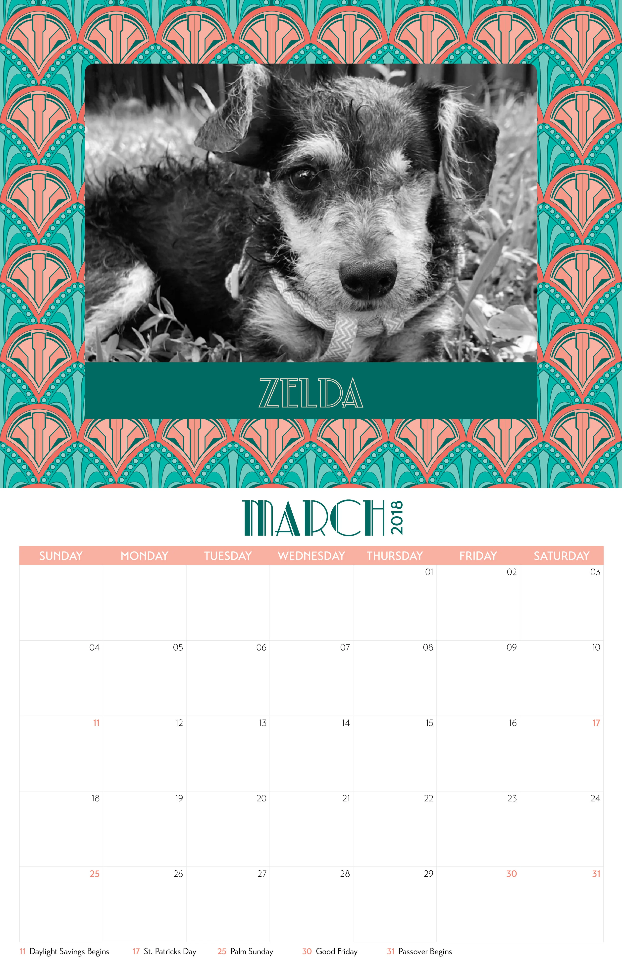DRSF-2018Calendar-FINAL5.jpg