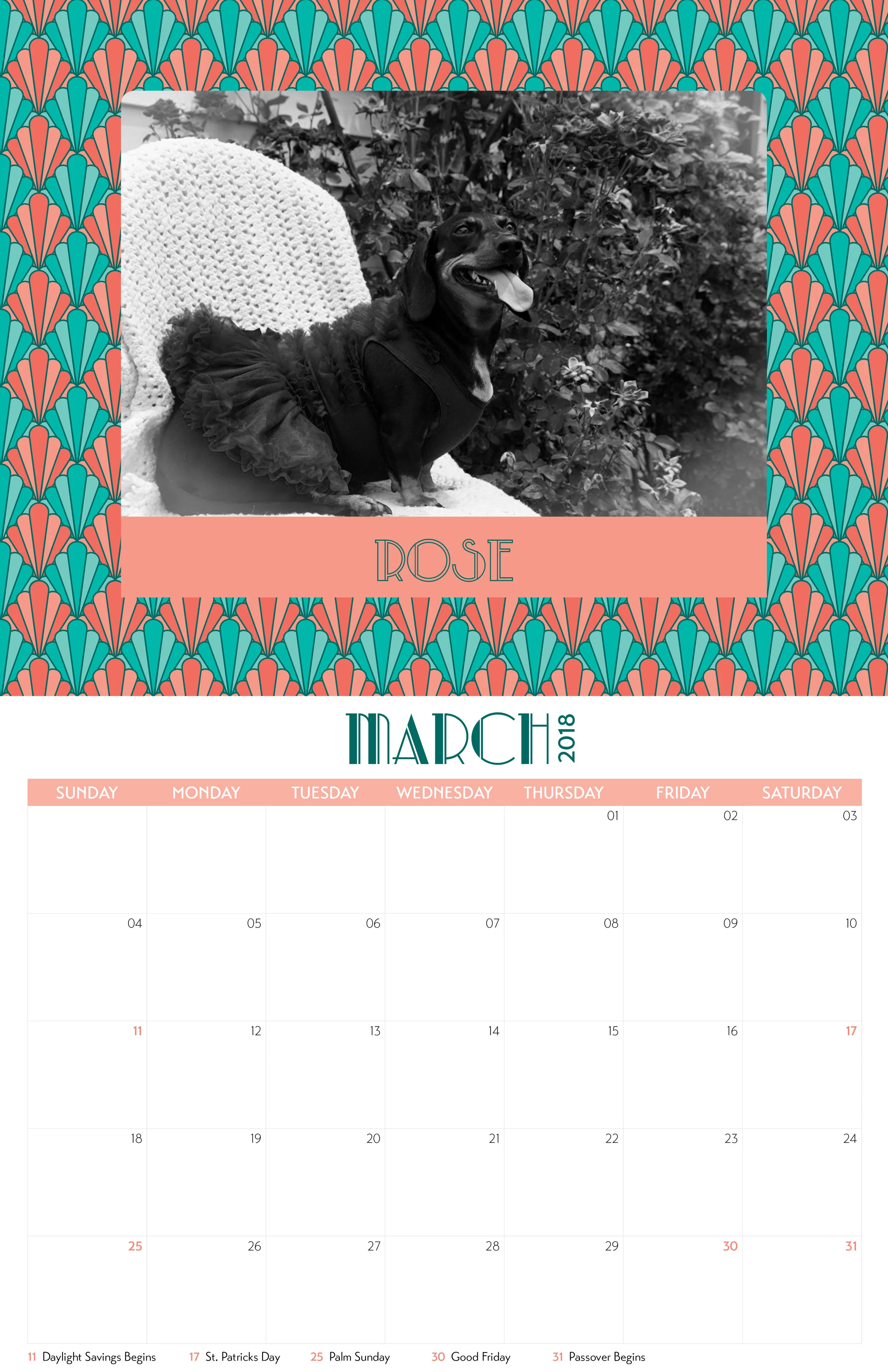 DRSF-2018Calendar-FINAL6.jpg