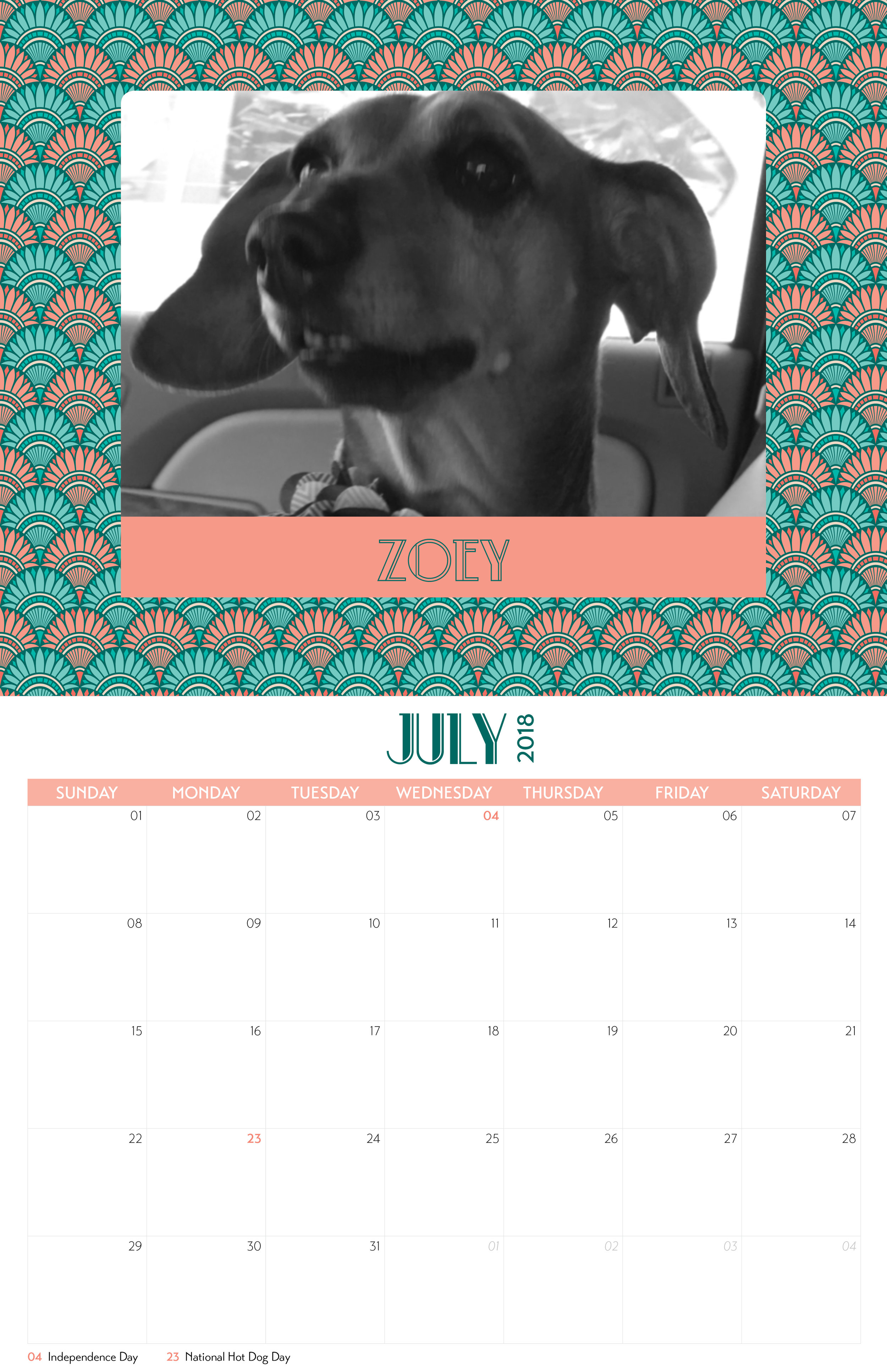 DRSF-2018Calendar-FINAL8.jpg