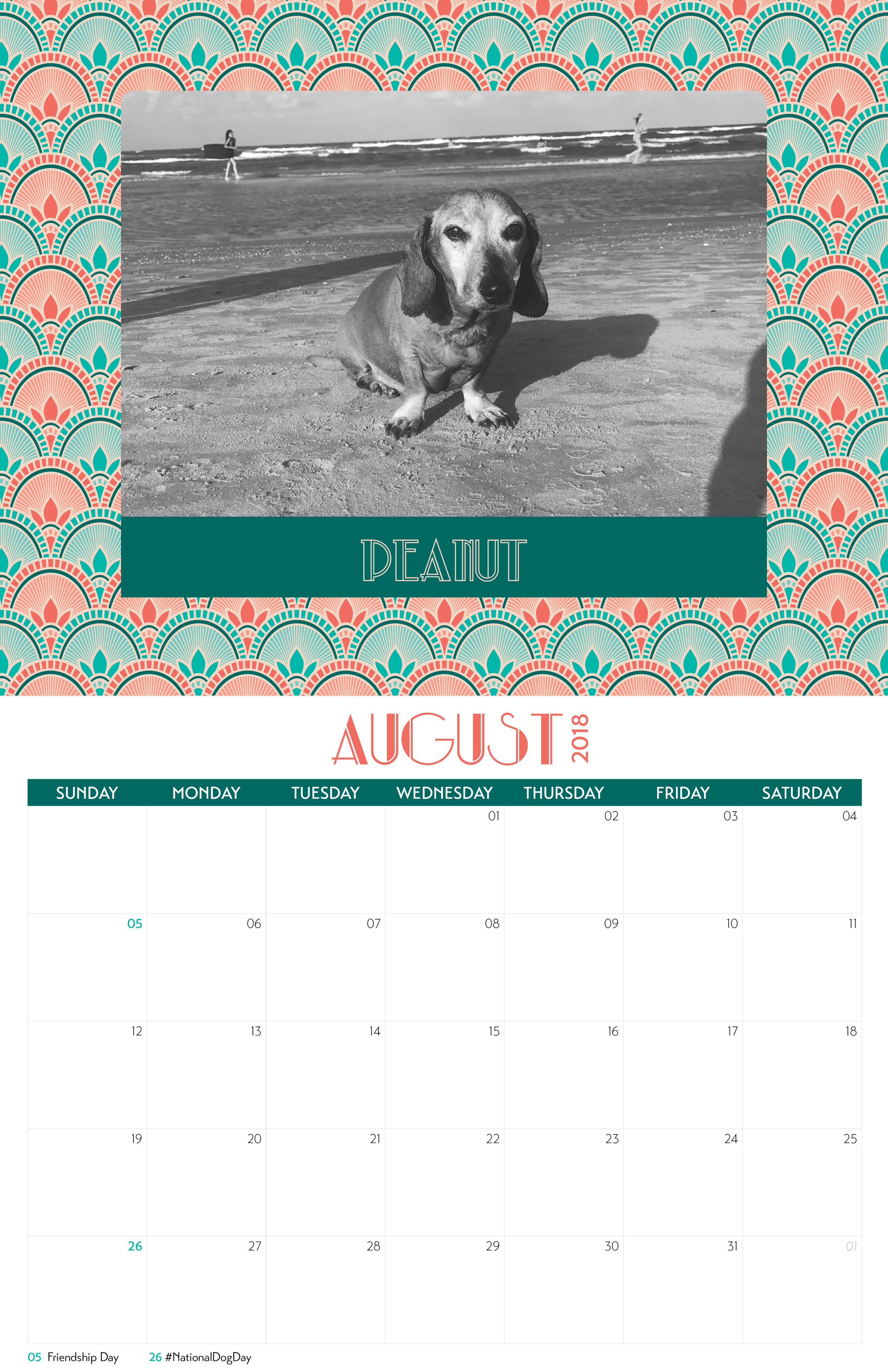 DRSF-2018Calendar-FINAL9.jpg