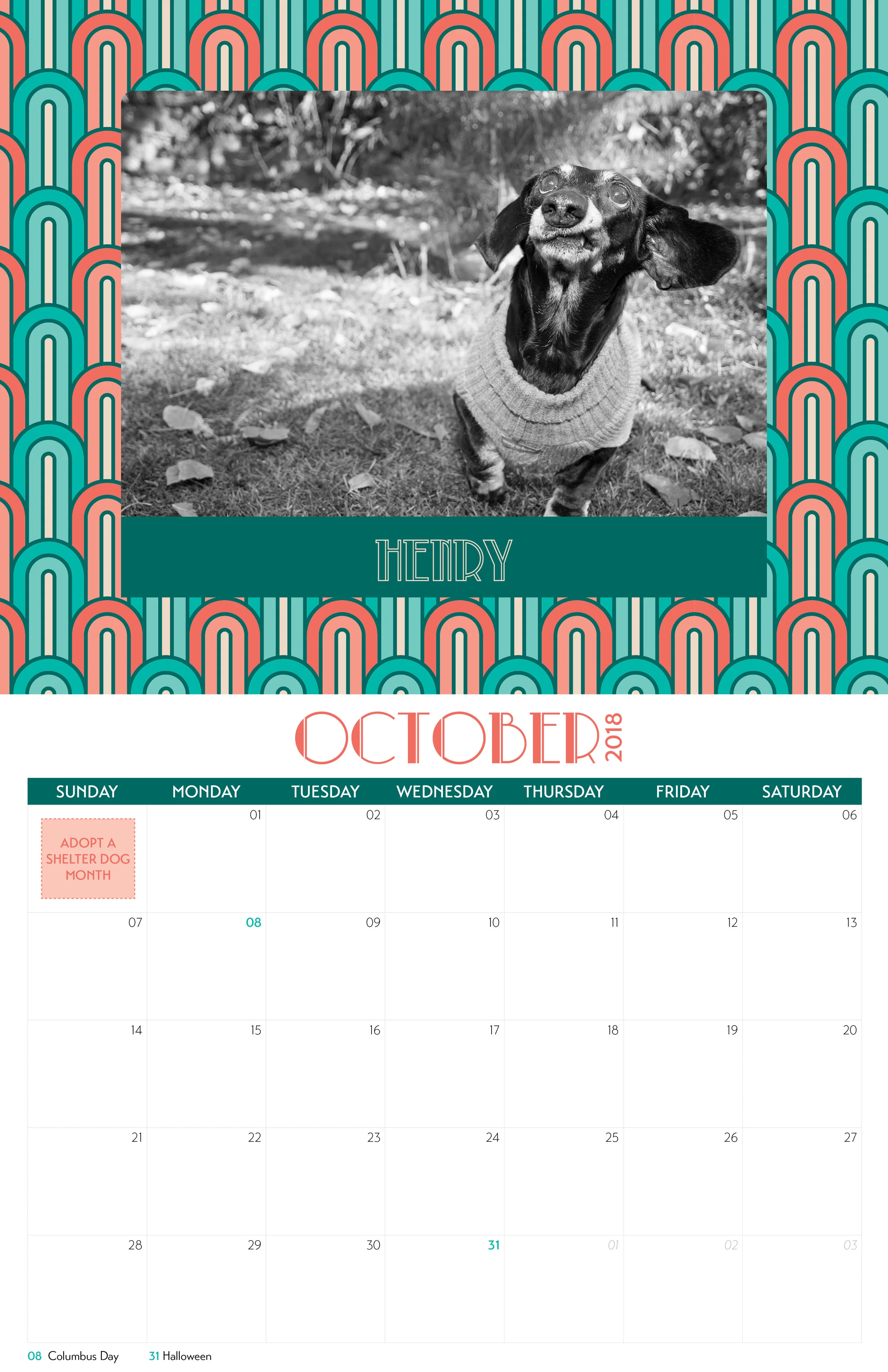 DRSF-2018Calendar-FINAL11.jpg