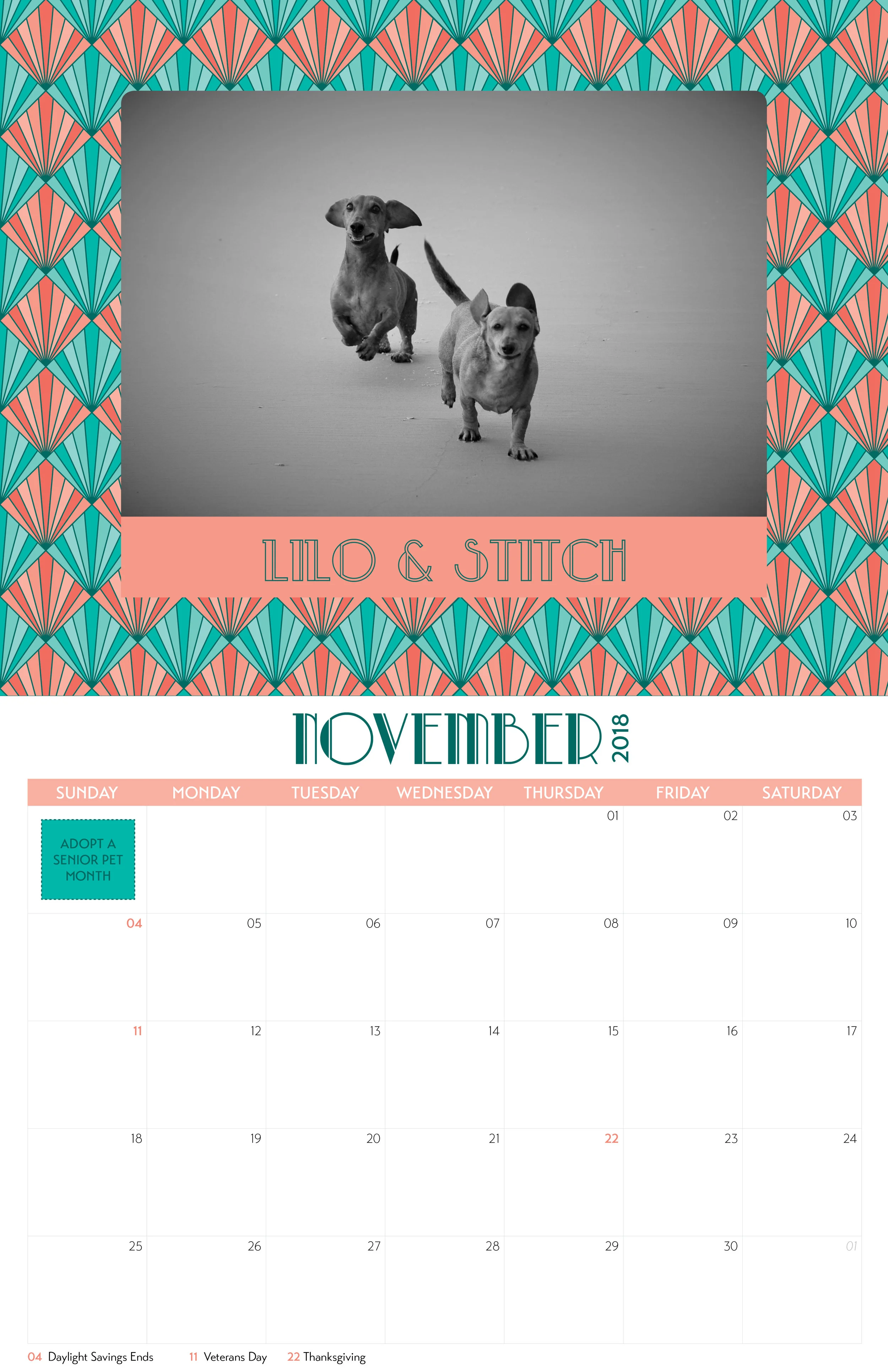 DRSF-2018Calendar-FINAL12.jpg