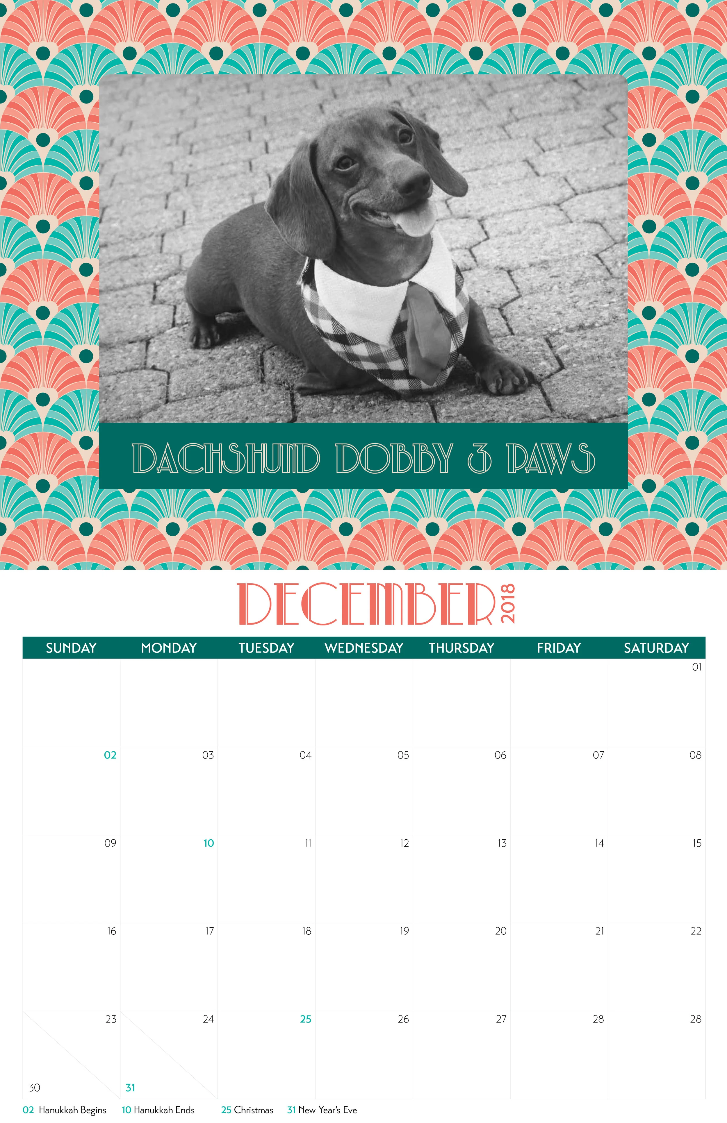 DRSF-2018Calendar-FINAL13.jpg