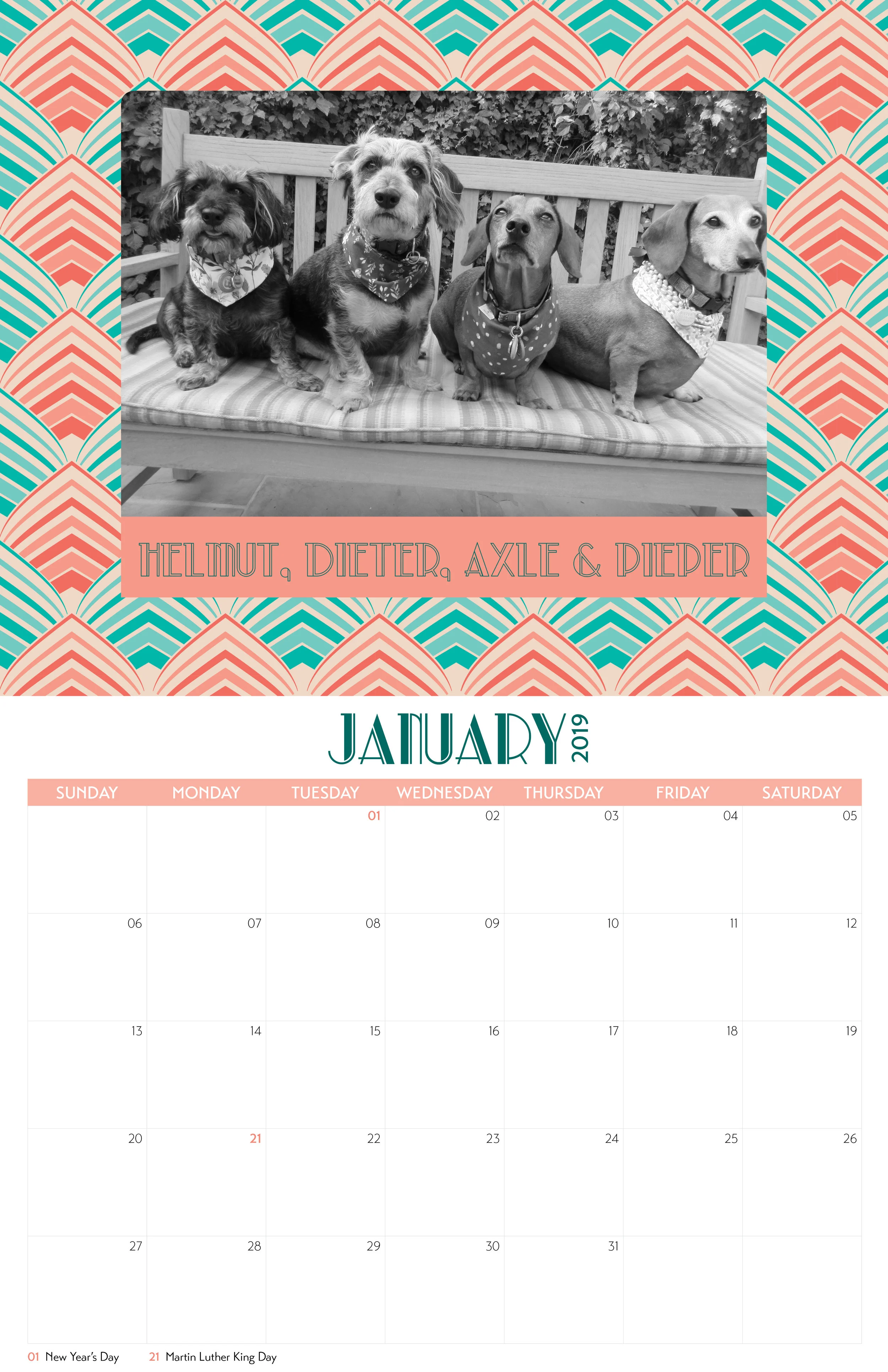 DRSF-2018Calendar-FINAL14.jpg