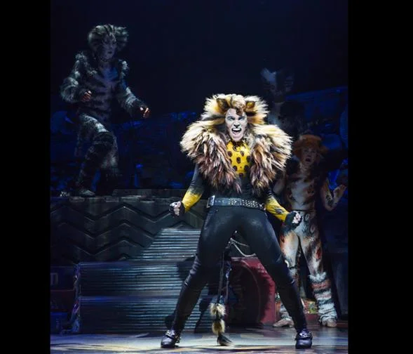 tdf: Can You Find Yourself While You're Playing a Cat?