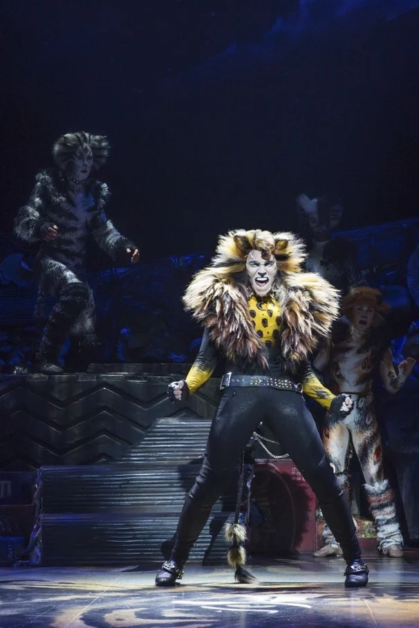 Rum Tum Tugger in Cats.jpg