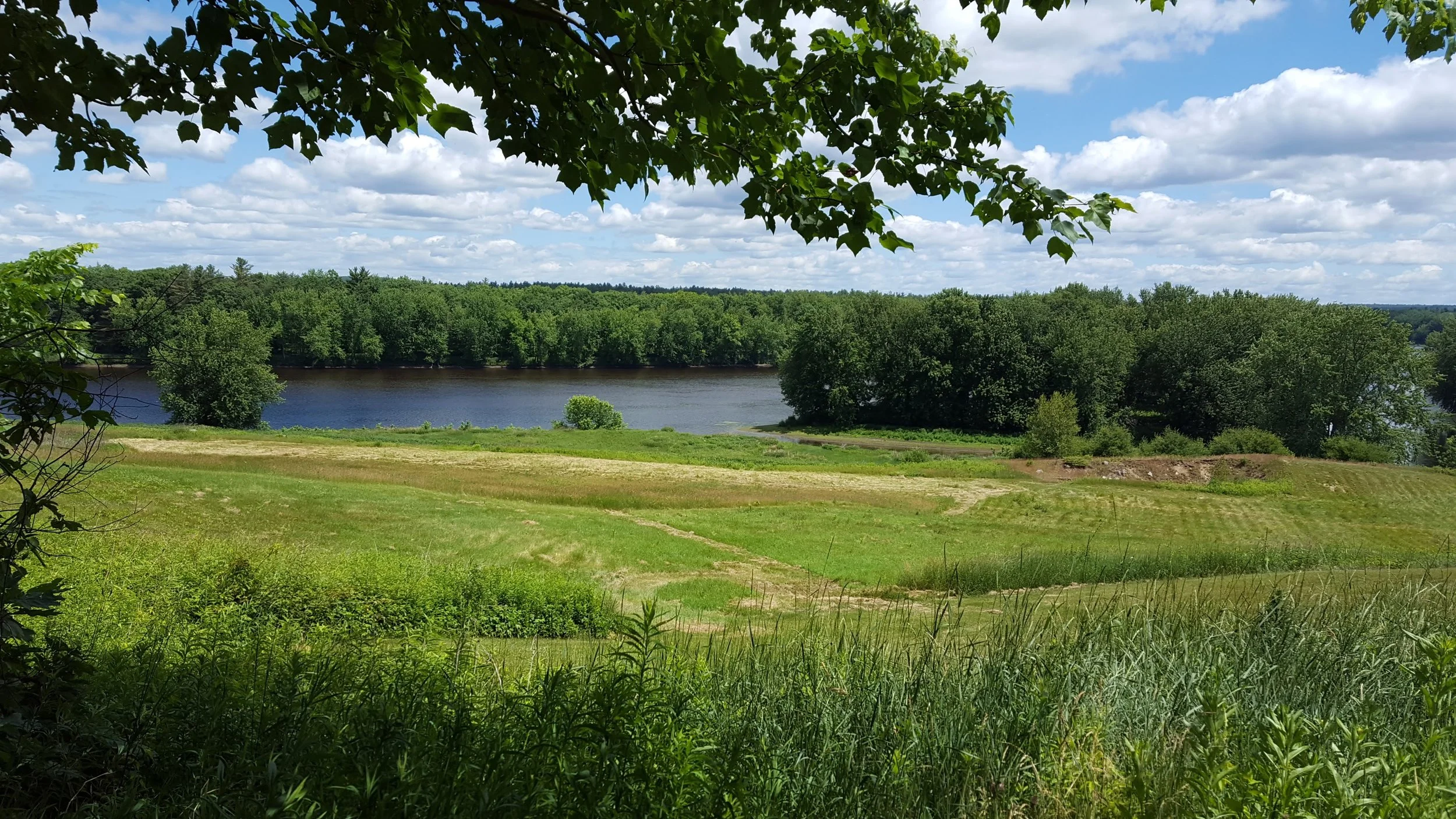 Farmscape on the Androscoggin River.
