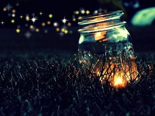 fireflies in a jar