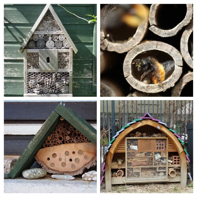 Artificial nesting structures, or "bee hotels" can be highly variable, artistic, and fun.