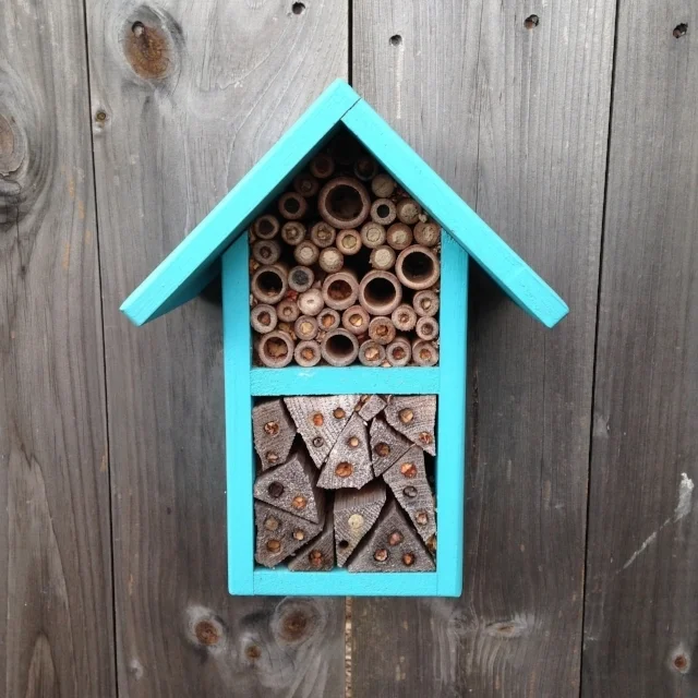 A bee house for native bees mimics natural nesting habitat: the hollow stems of woody plants (top) and small holes in dead, standing trees (bottom).