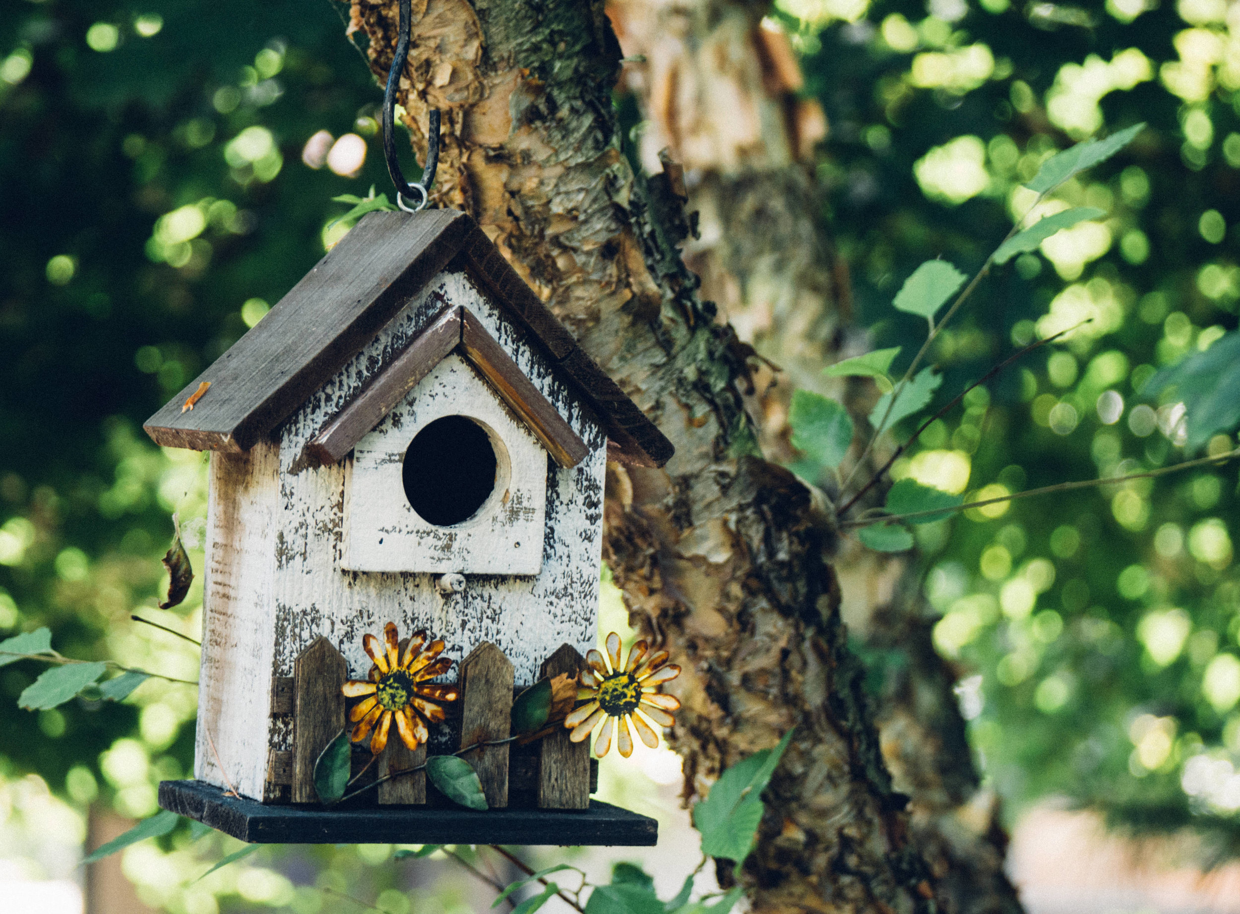 rusticBirdhouse.jpeg