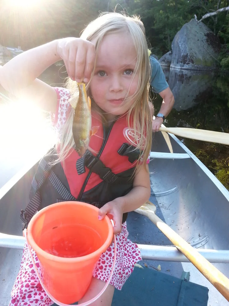 LANDSCAPING FOR BIODIVERSITY AND WATER QUALITY - Green Lake Association