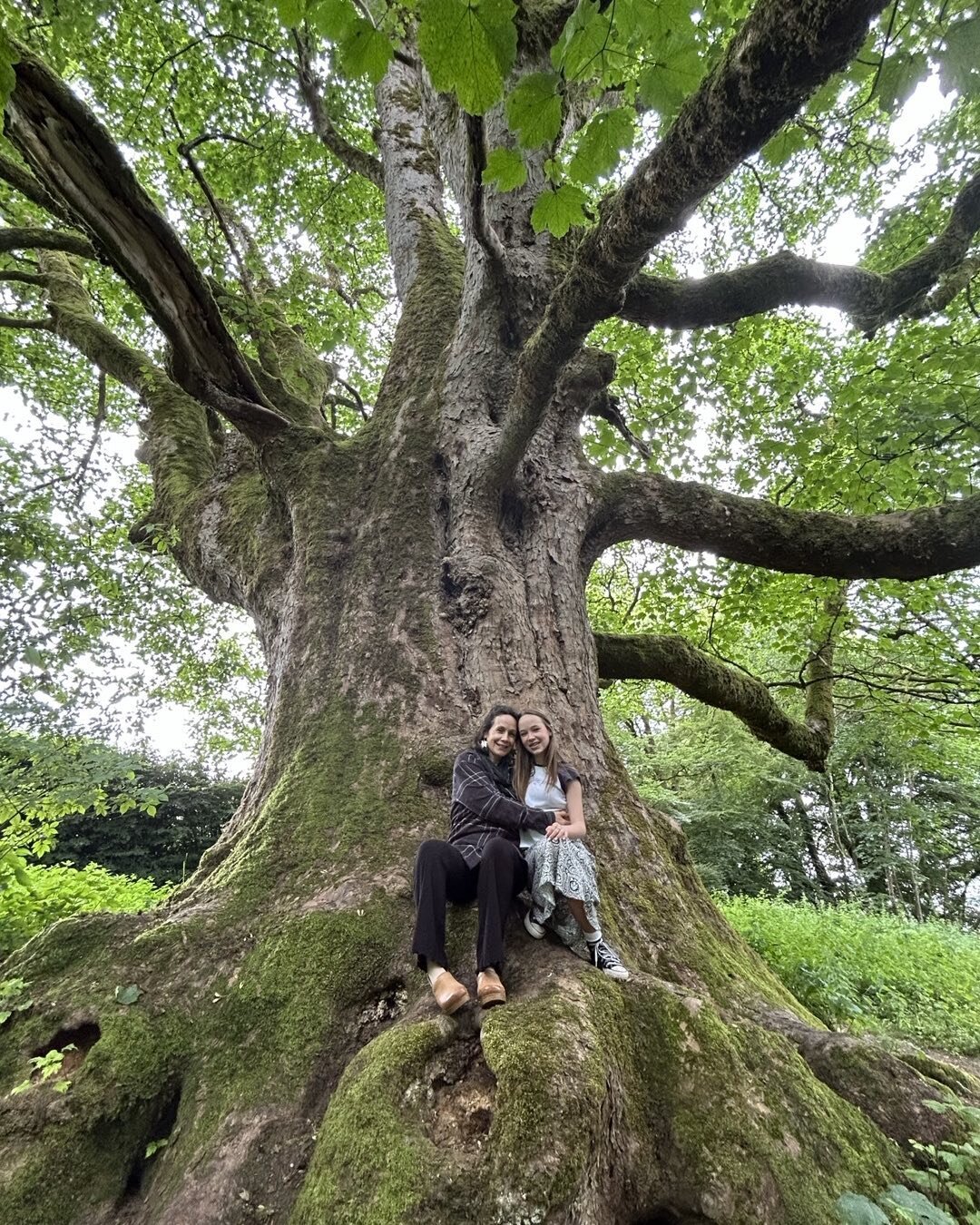 Read about this and other giant trees and wee forests in my latest Field Note from Scotland, and how trees can teach us how to care for one another. 🥰

#ThePersonalEcologist 
#linkinprofile
#bigtrees #weeforests #careforothers #care