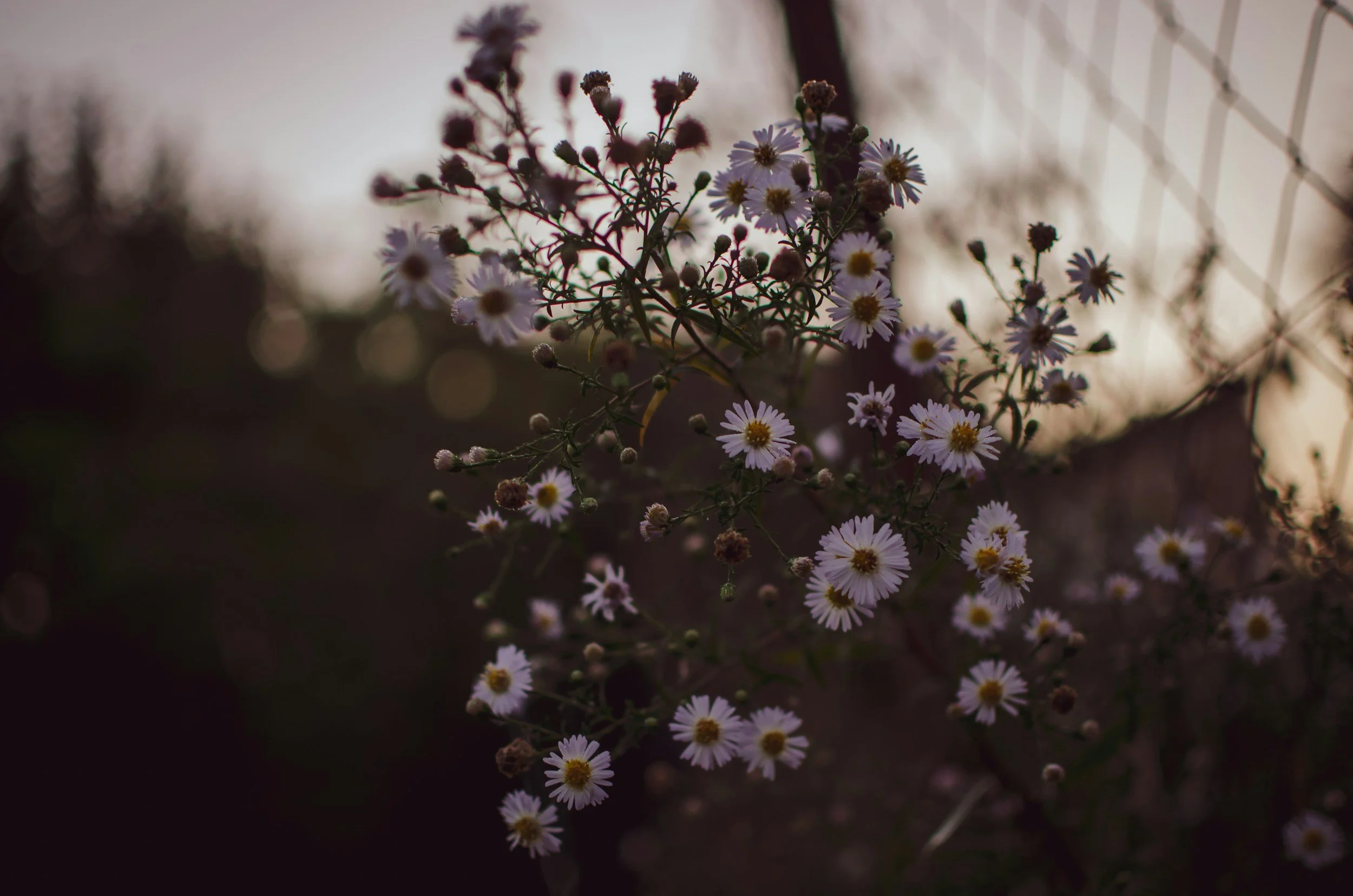 unsplash-image-jKSfxcnFMbA.jpg