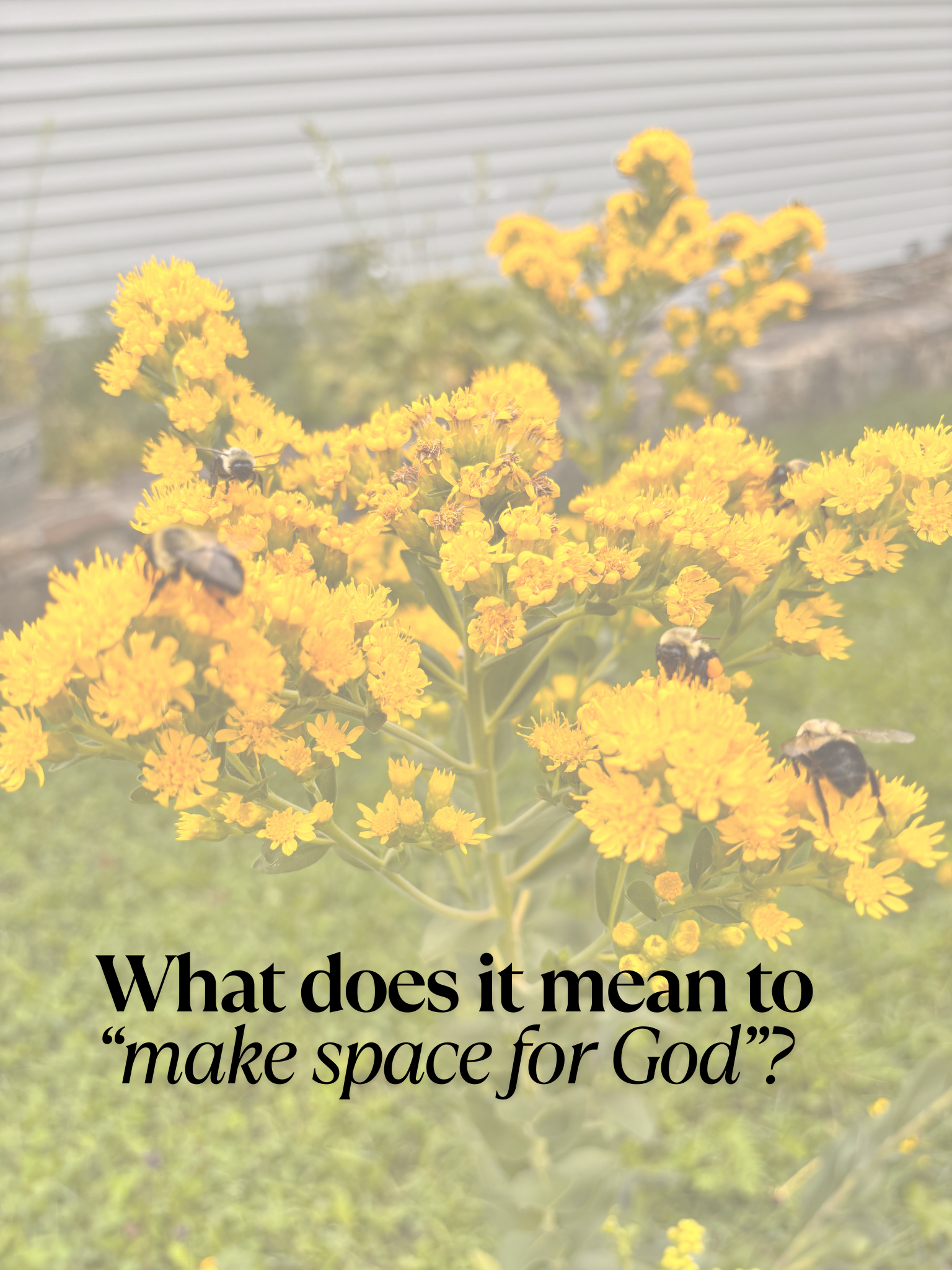 Copy of Copy of Copy of Copy of Copy of make space for joy-2.png