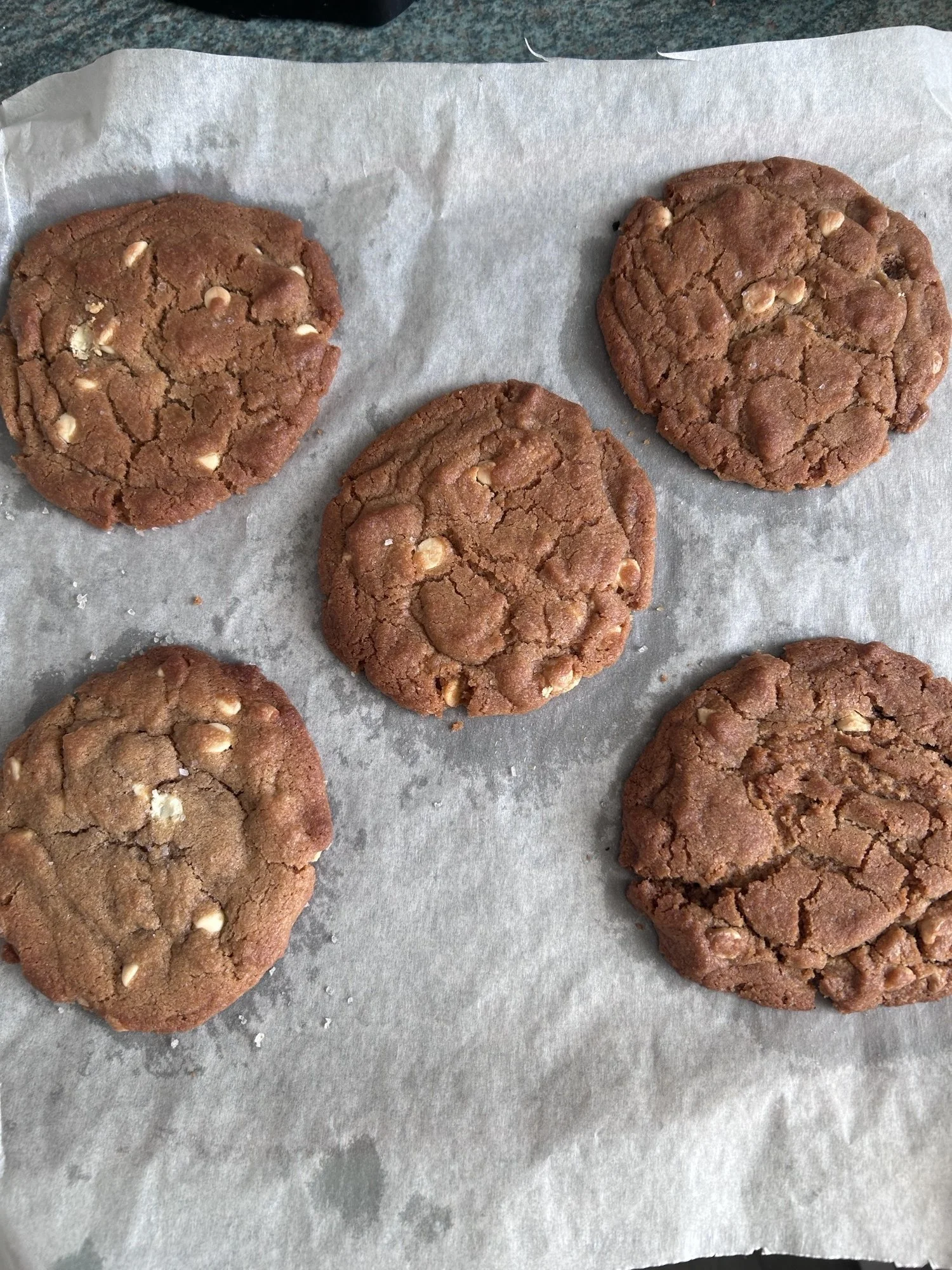 This week at the loch - 08/08/2025