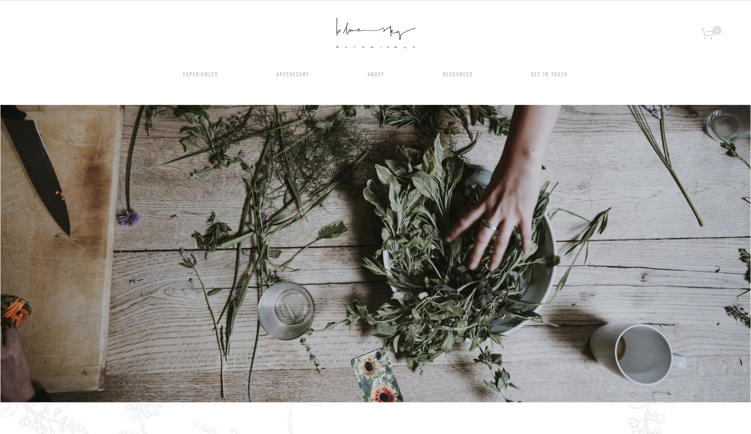 Screen Shot 2019-07-23 at 3.06.13 PM.png