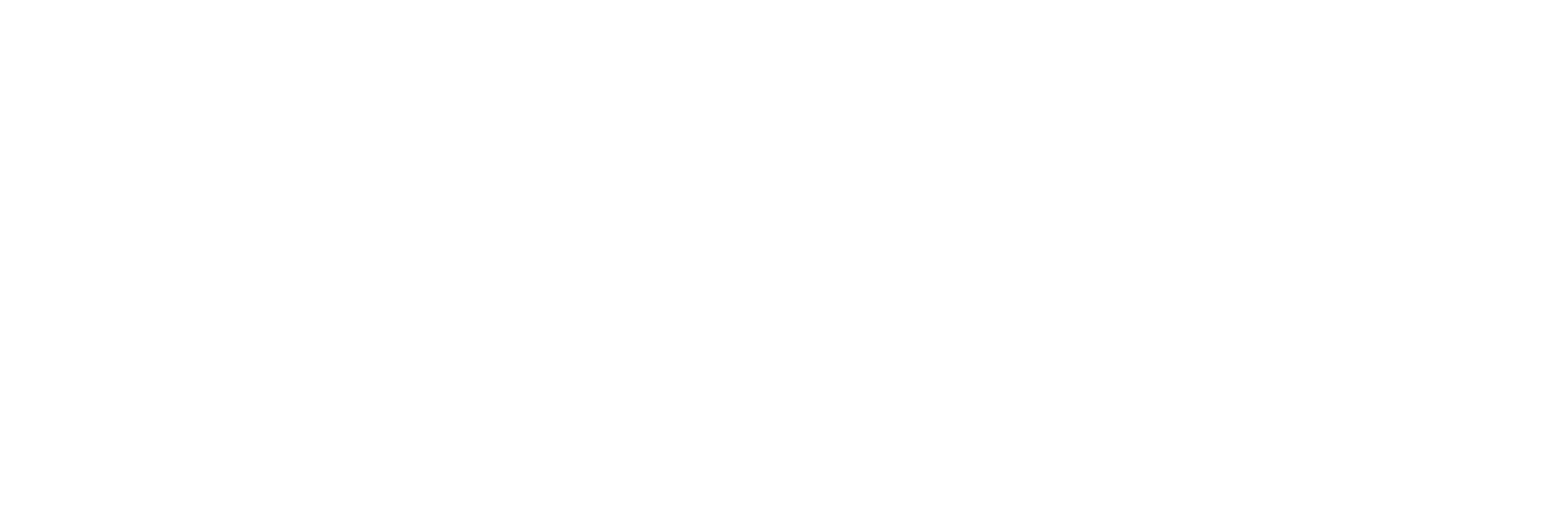trouwfotos_nl logo 170310 zonder tag.png
