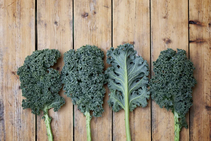 Kale