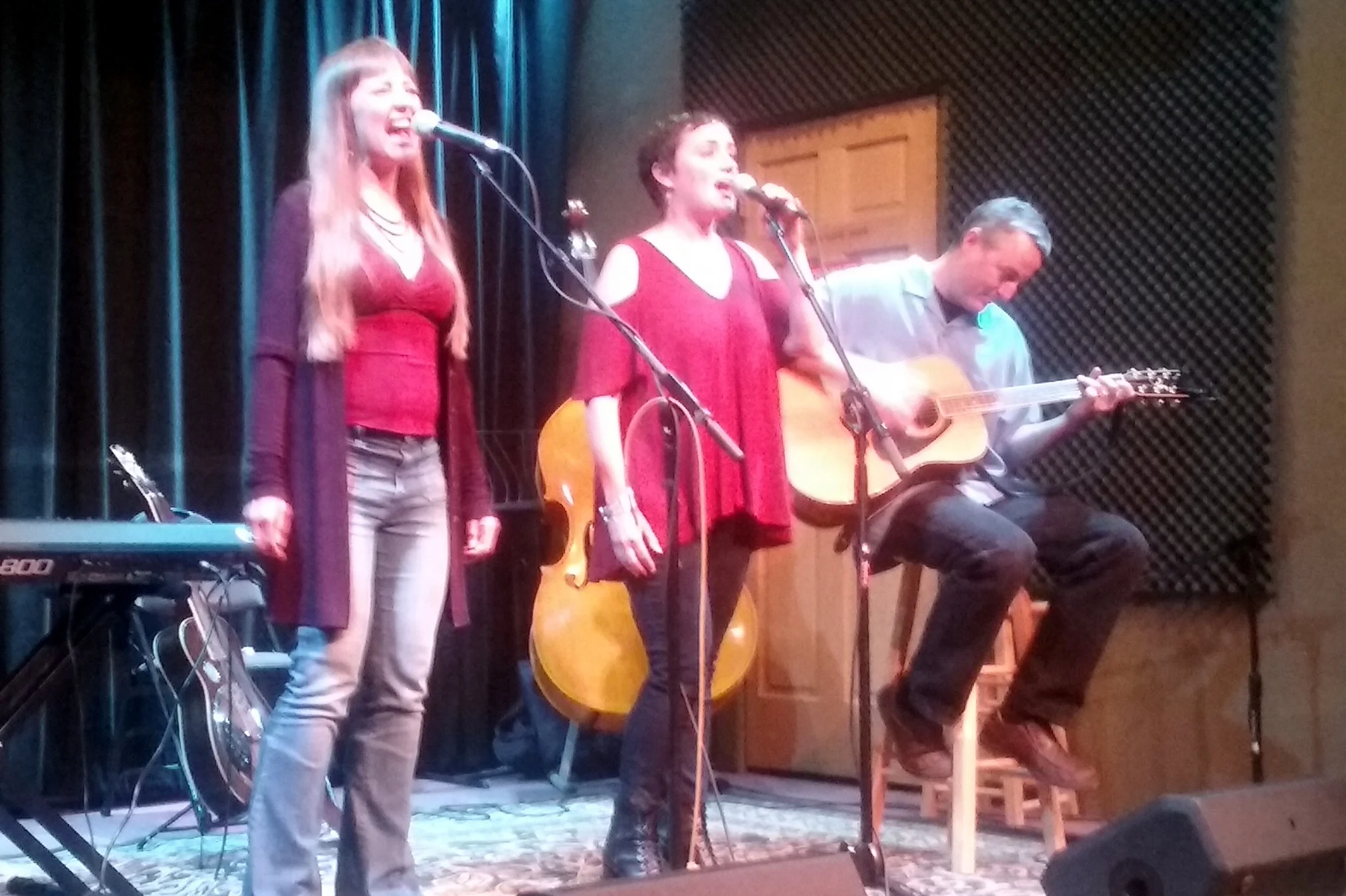 Anne & Emilyn Project Live at Swallow Hill
